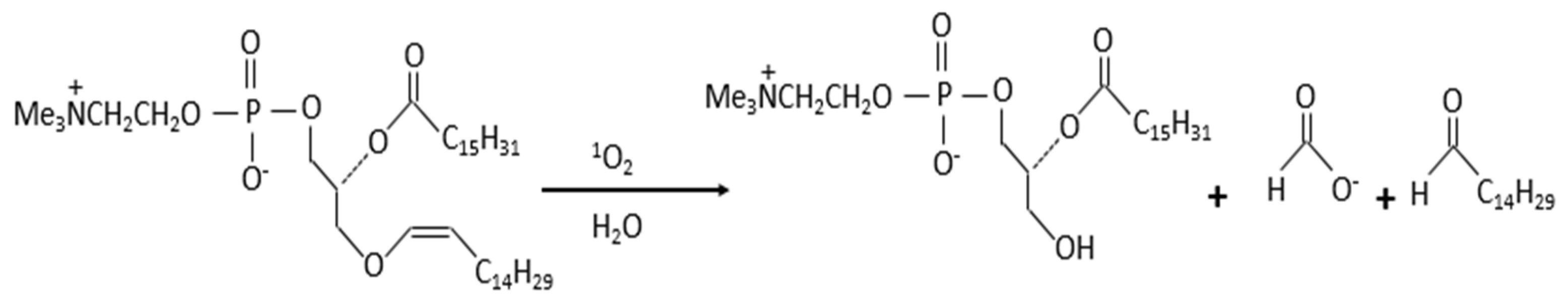 Polymers 14 01286 g004