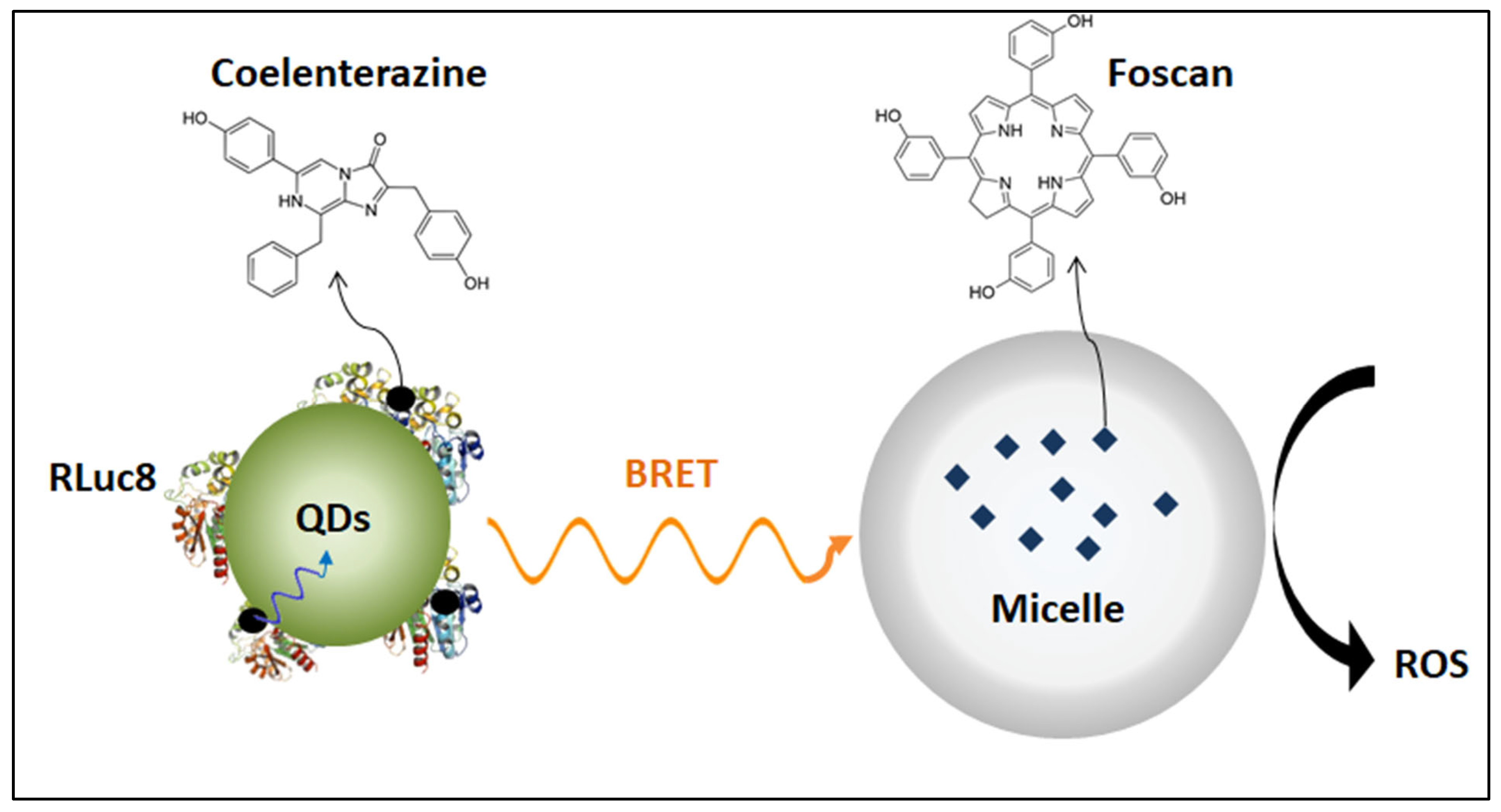 Polymers 14 01286 g010