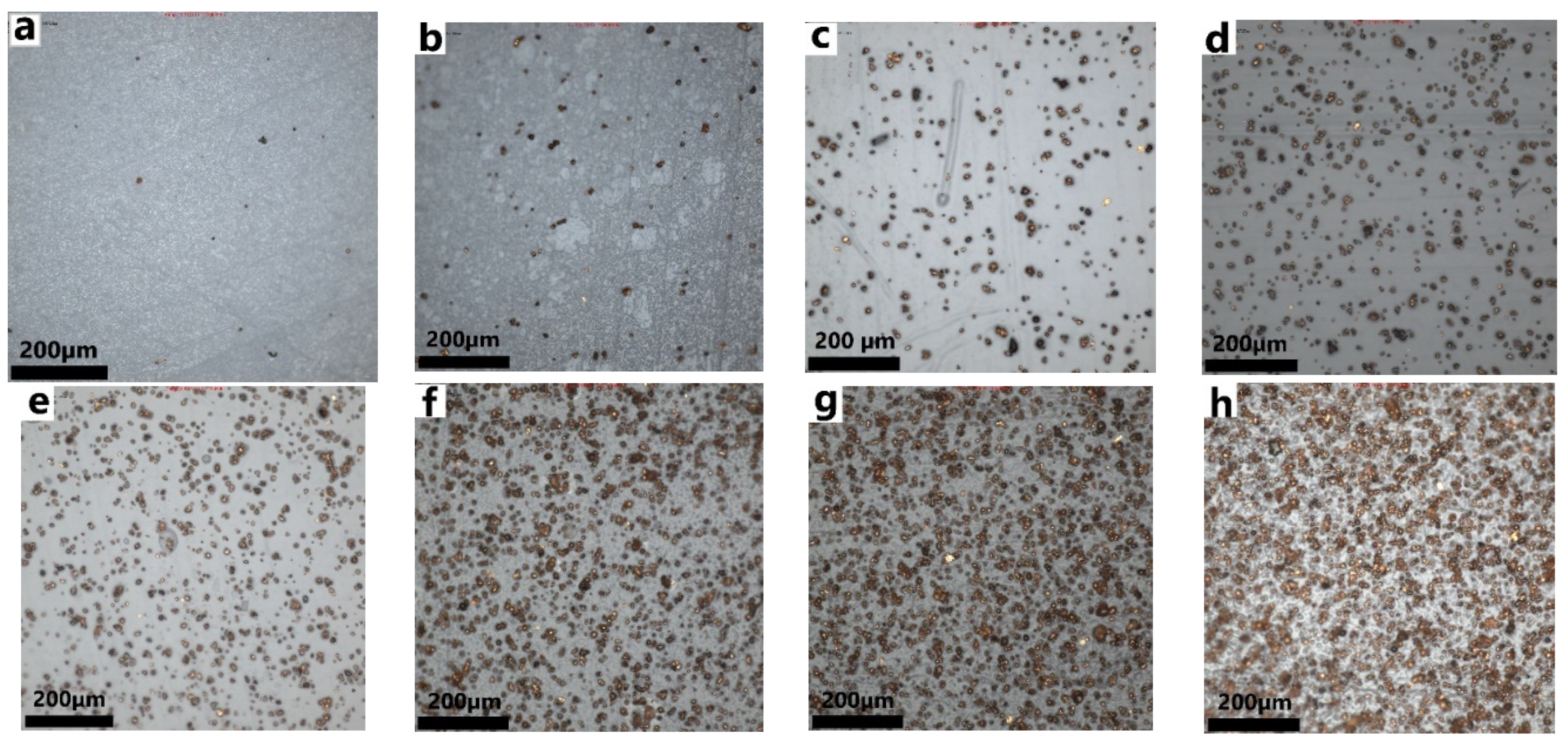 Polymers 14 01287 g007 Polymers 14 01287 g007