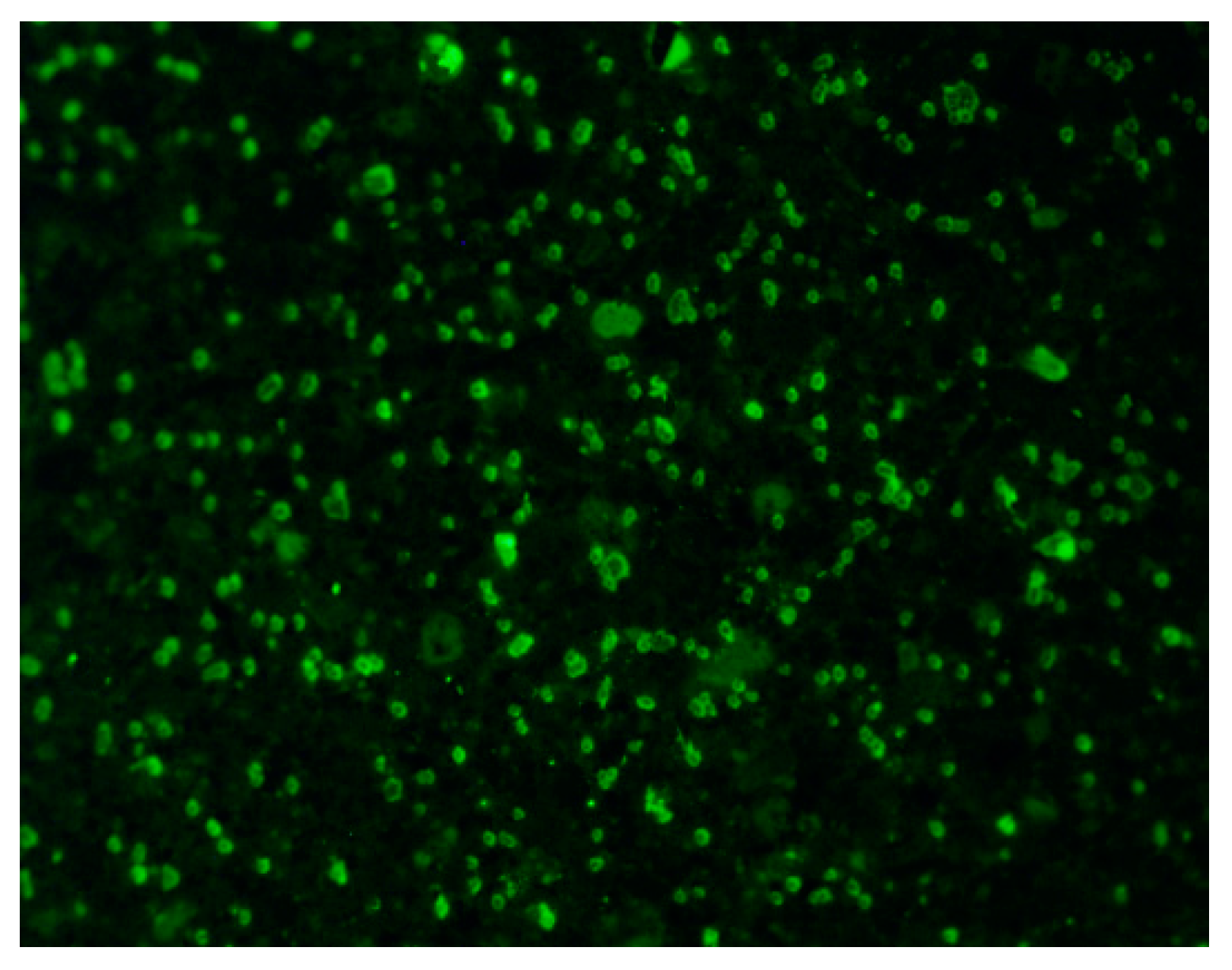 Polymers 14 01291 g003 550
