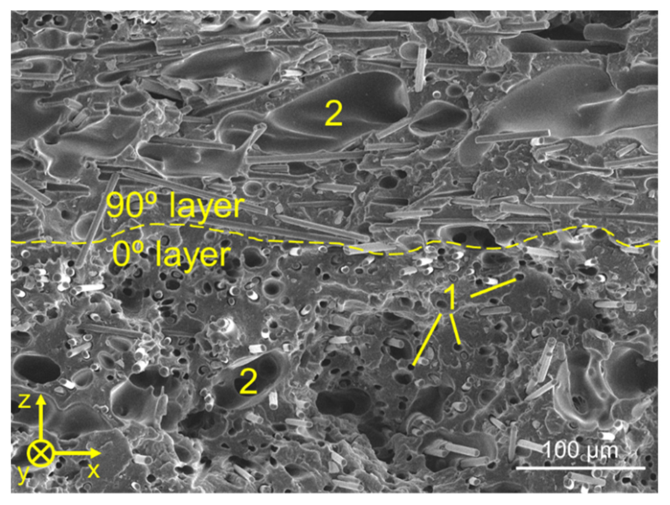 Polymers 14 01292 g012