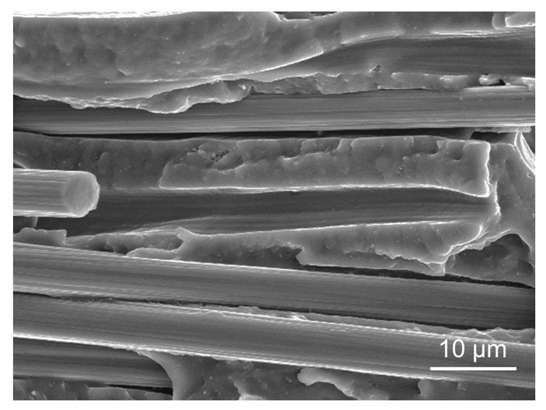 Polymers 14 01292 g014