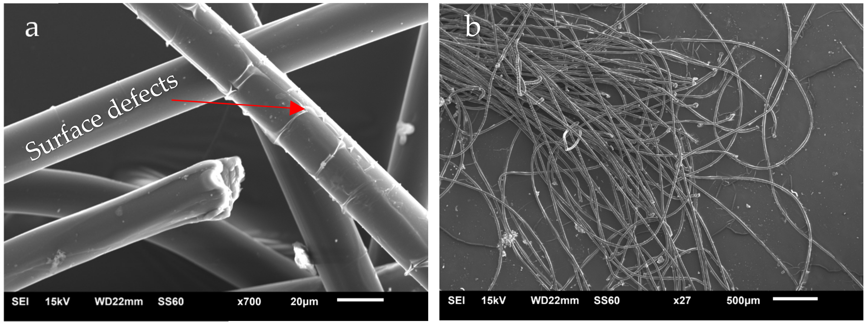 Polymers 14 01293 g004