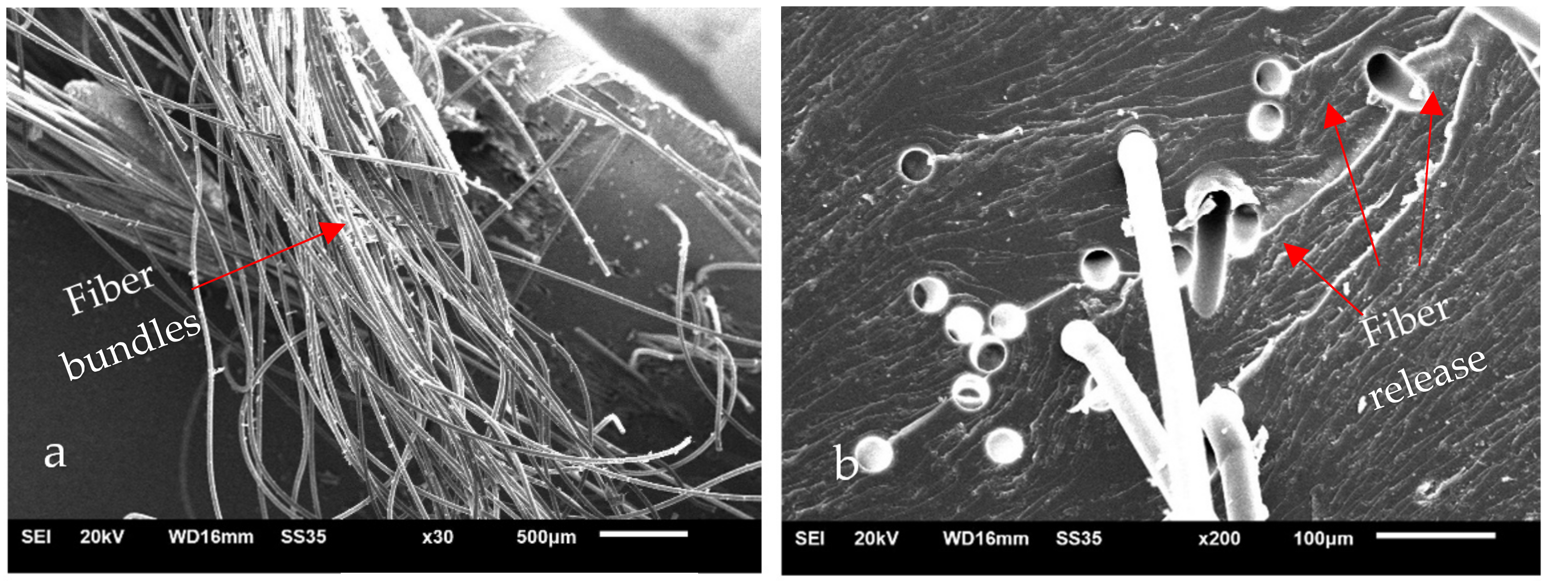 Polymers 14 01293 g007