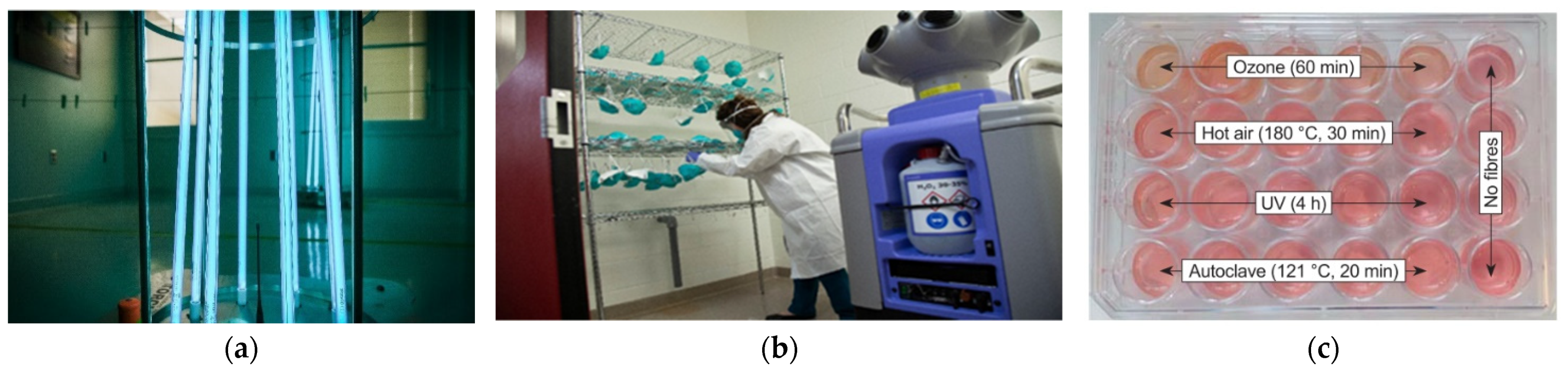 Polymers 14 01296 g008