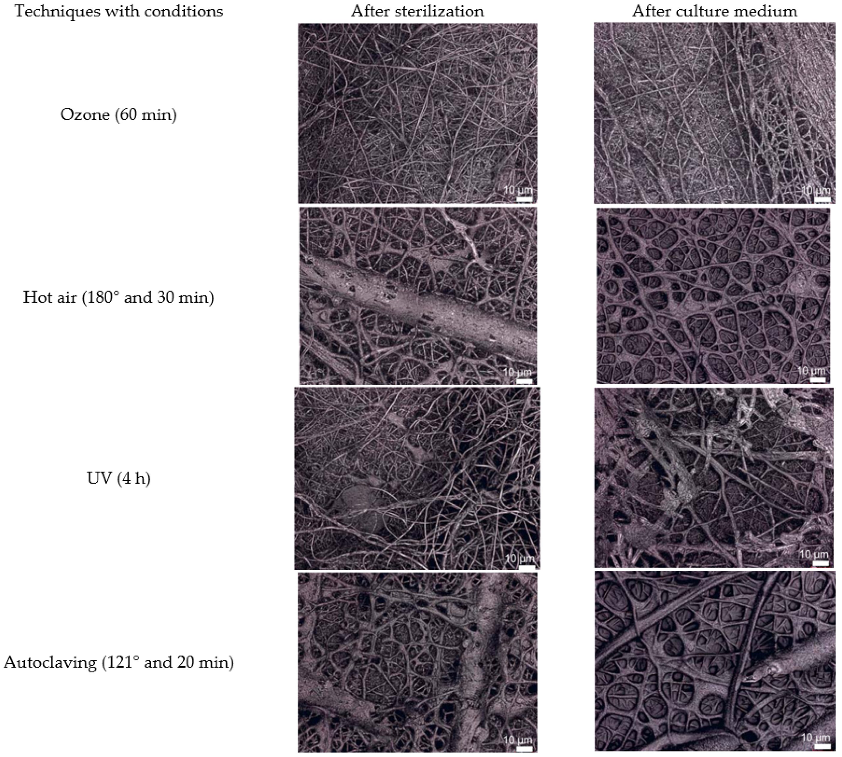 Polymers 14 01296 g009