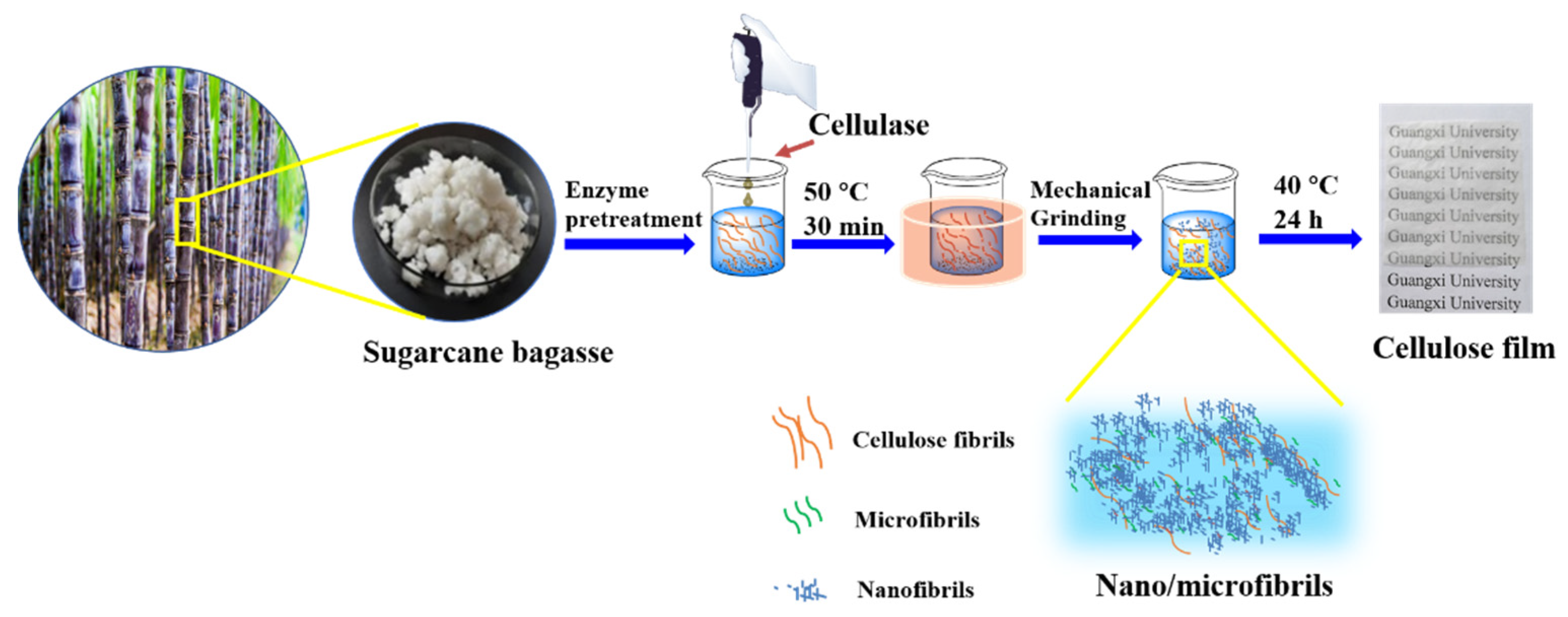 Polymers 14 01297 g001
