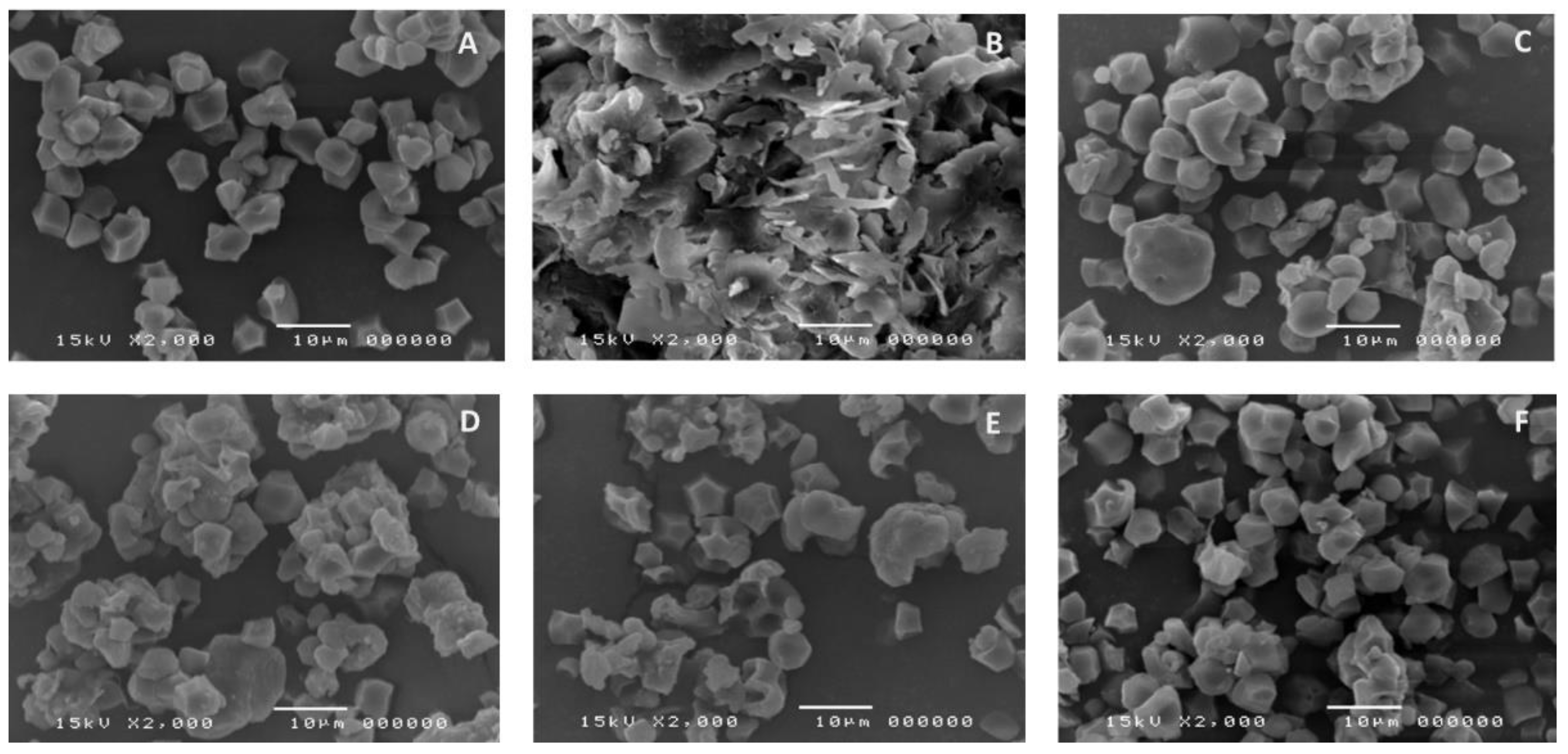 Polymers 14 01298 g002