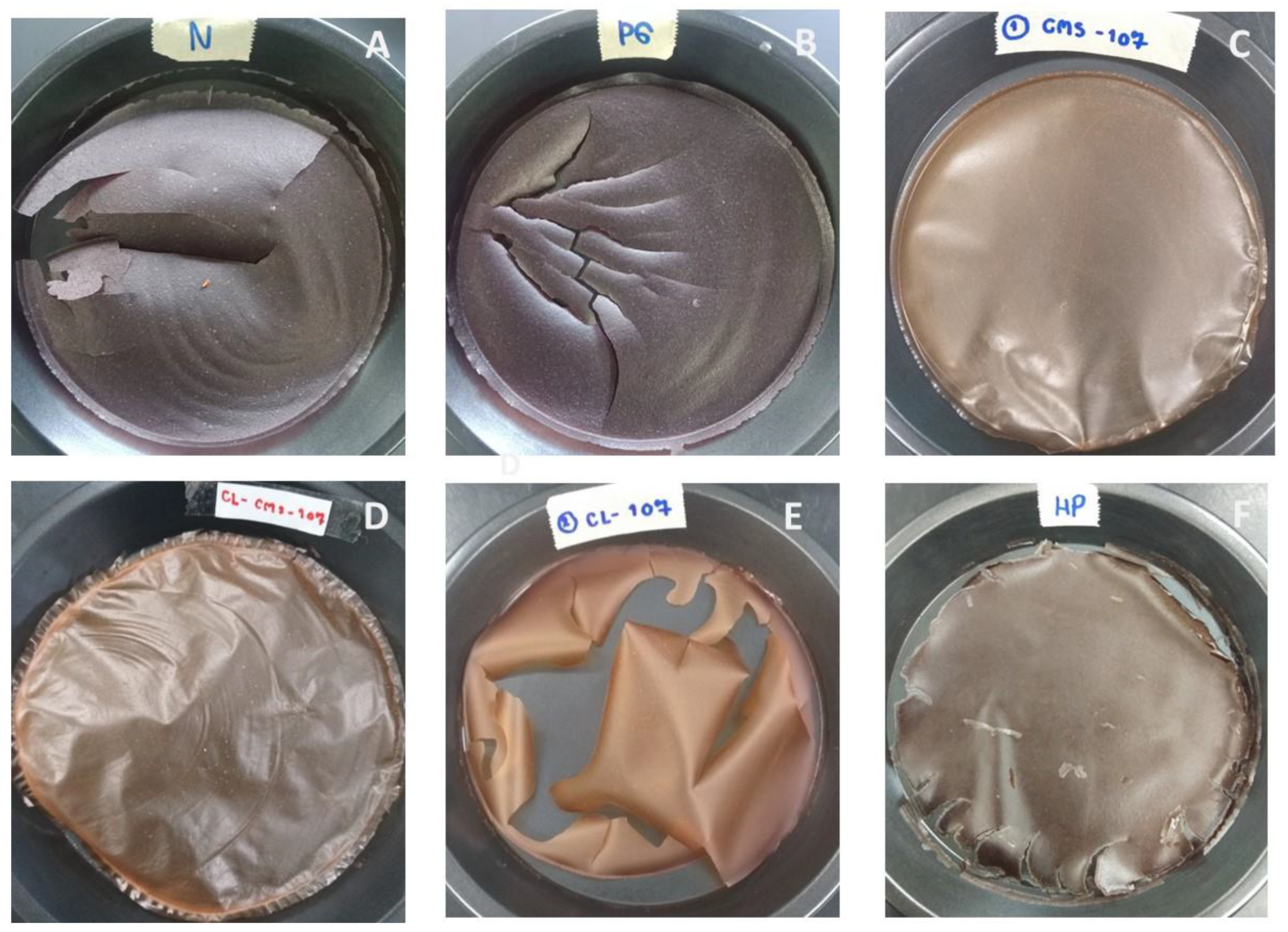Polymers 14 01298 g008