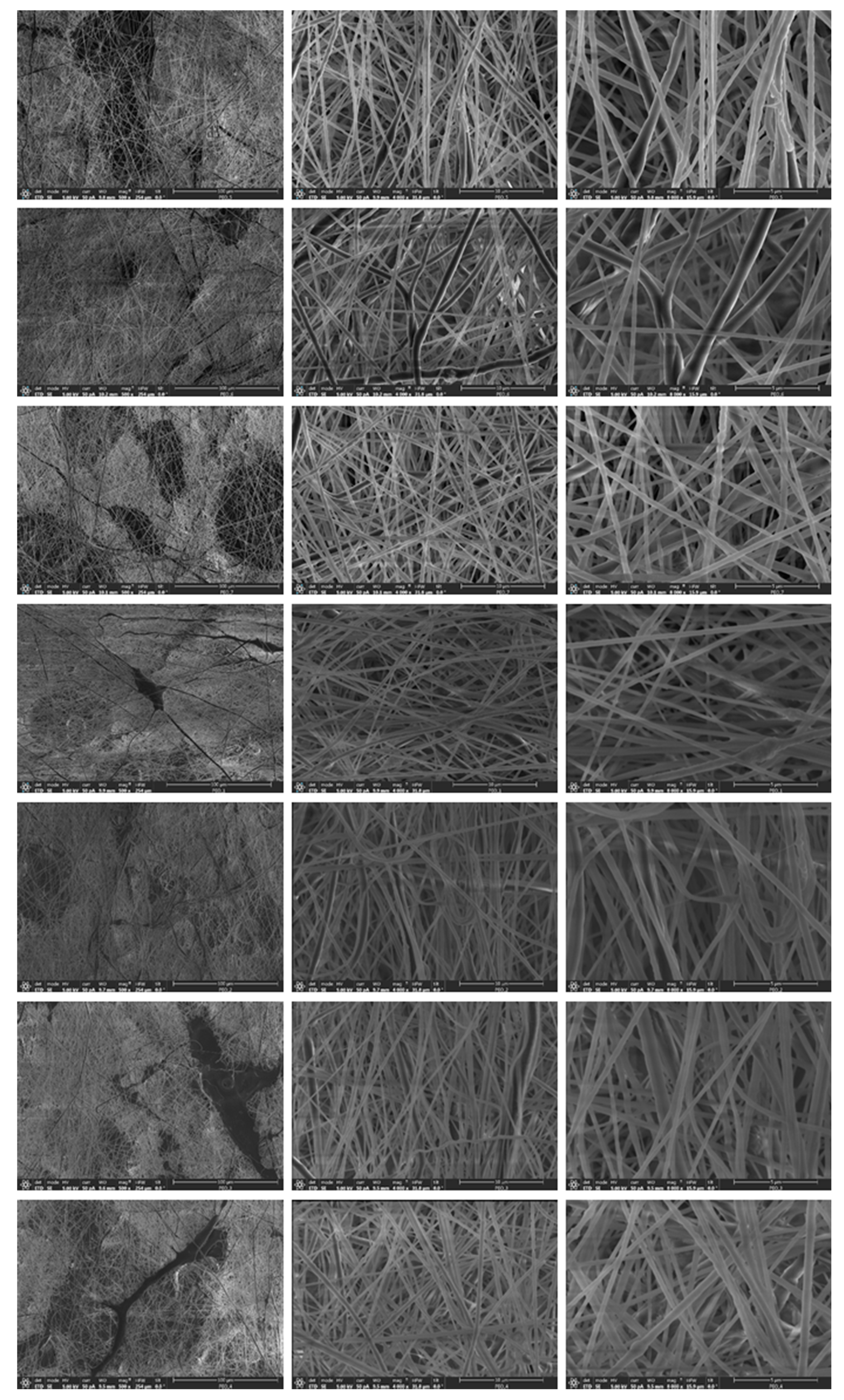 Polymers 14 01299 g005