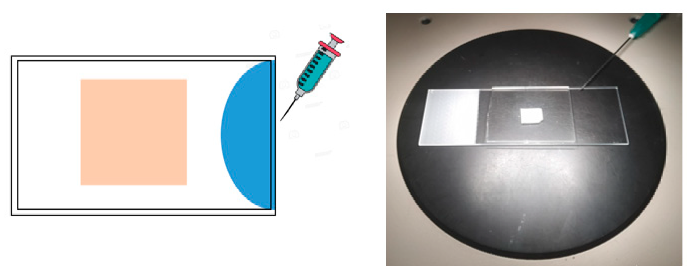 Polymers 14 01299 g009