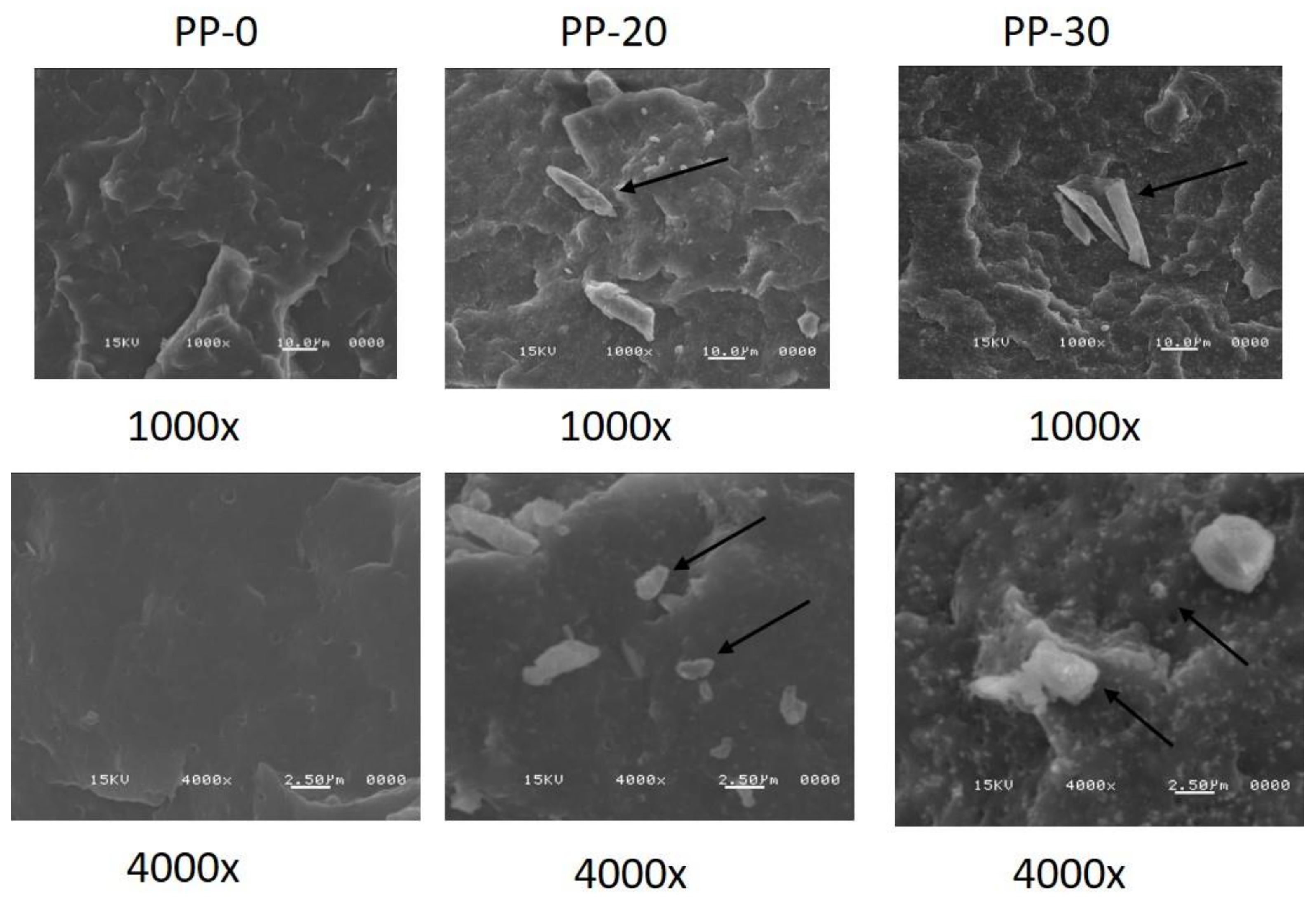 Polymers 14 01300 g005