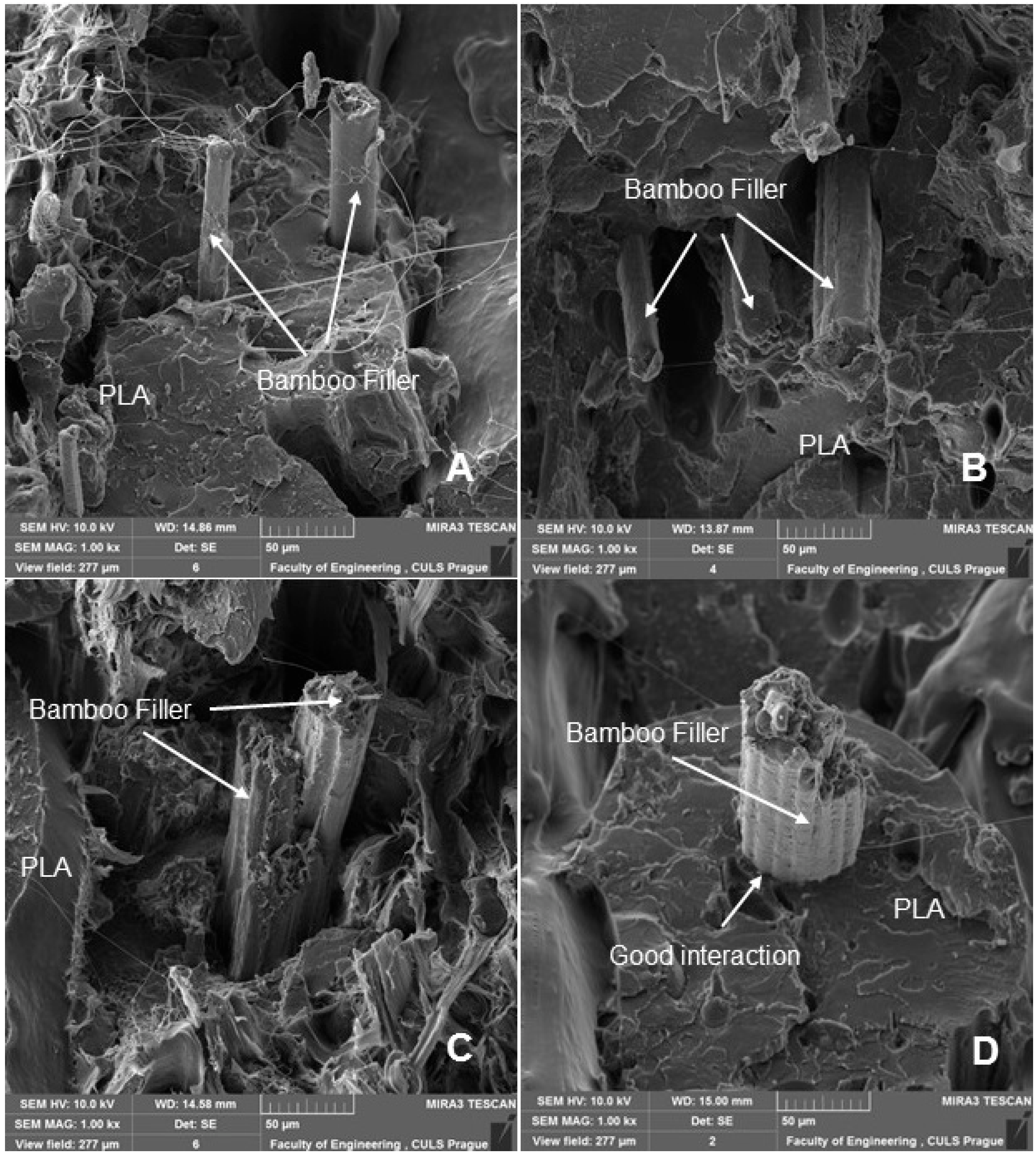 Polymers 14 01301 g012 550