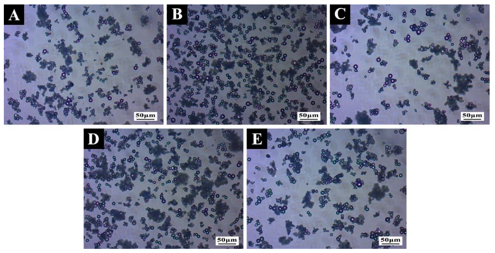 Polymers 14 01304 g006 550