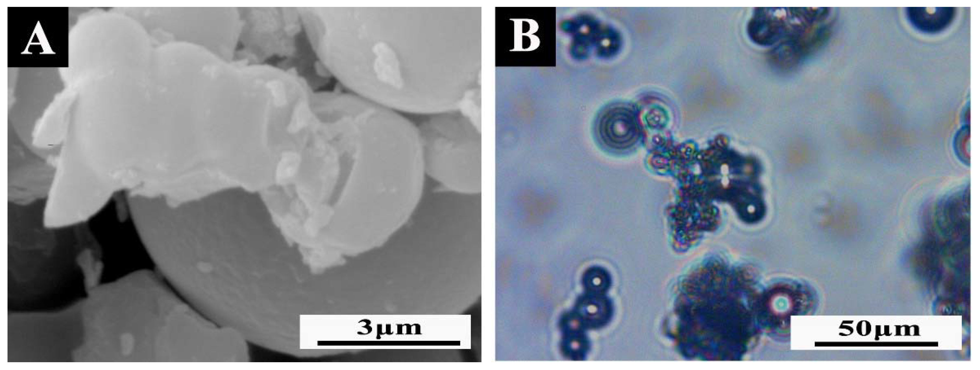 Polymers 14 01304 g007 550