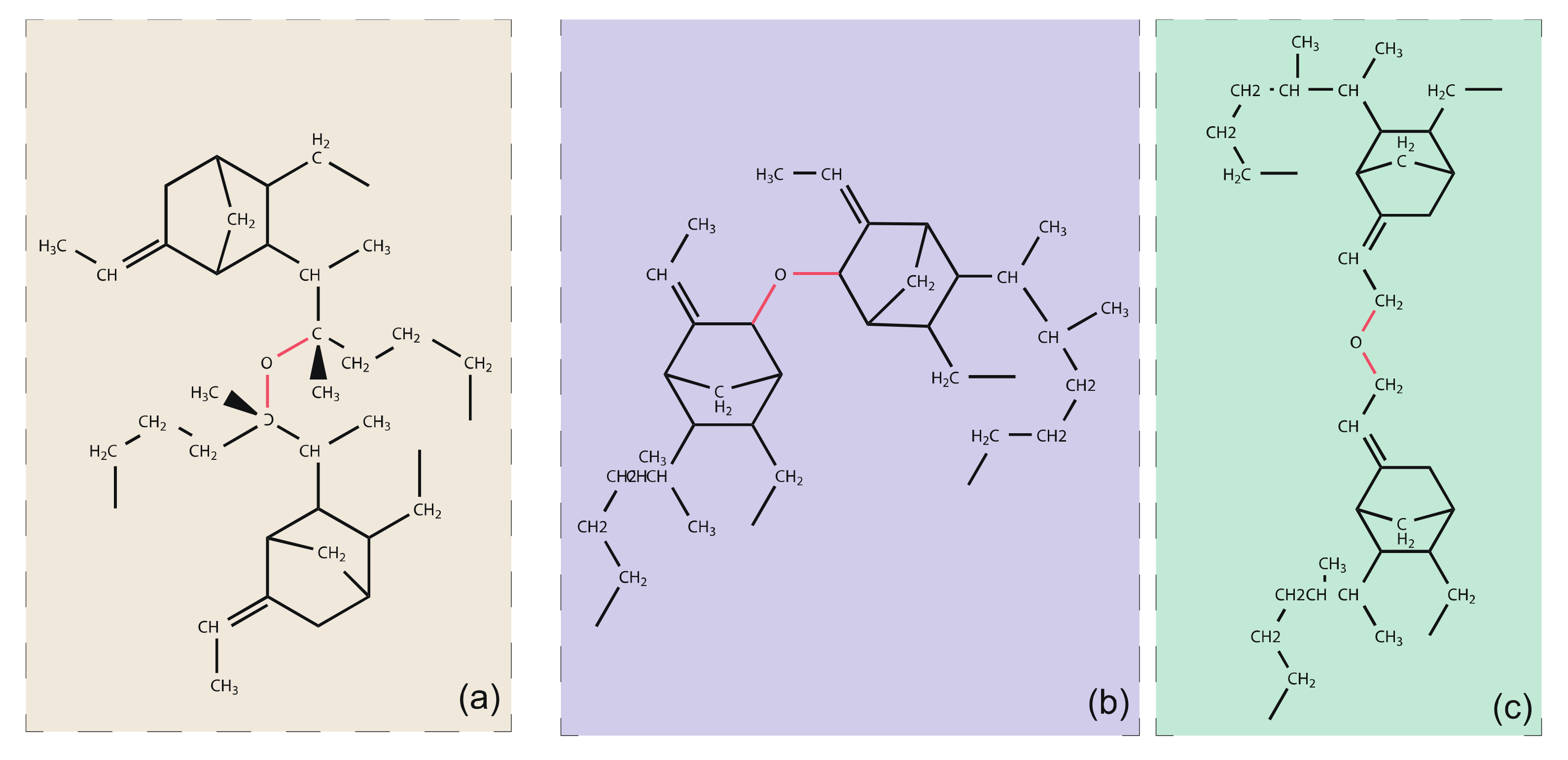 Polymers 14 01308 g003