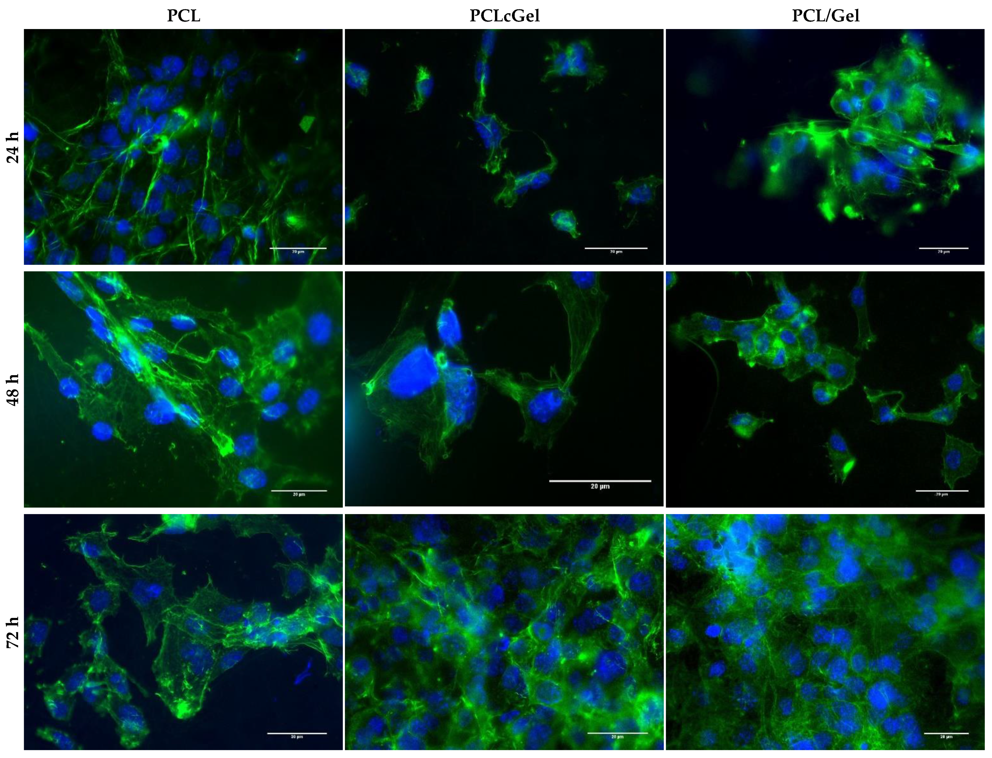 Polymers 14 01311 g007
