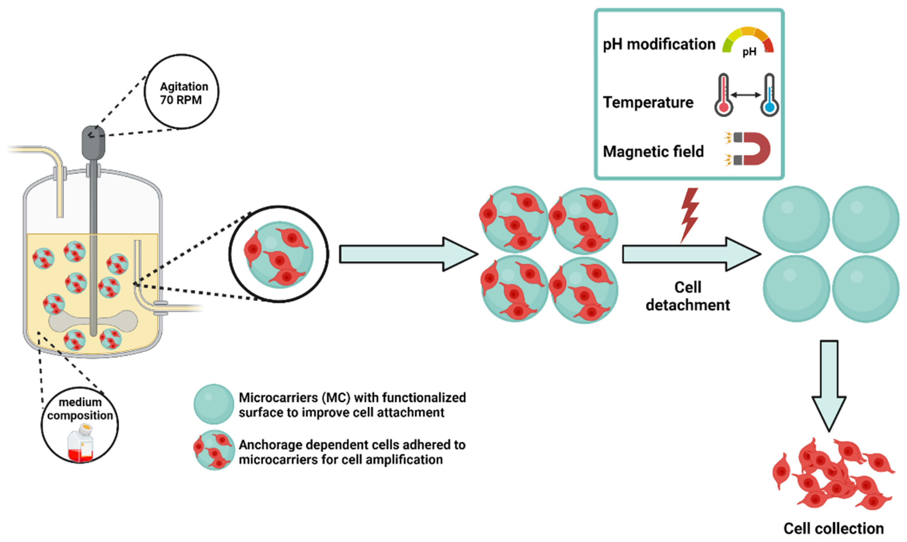 Polymers 14 01314 g005 Polymers 14 01314 g005