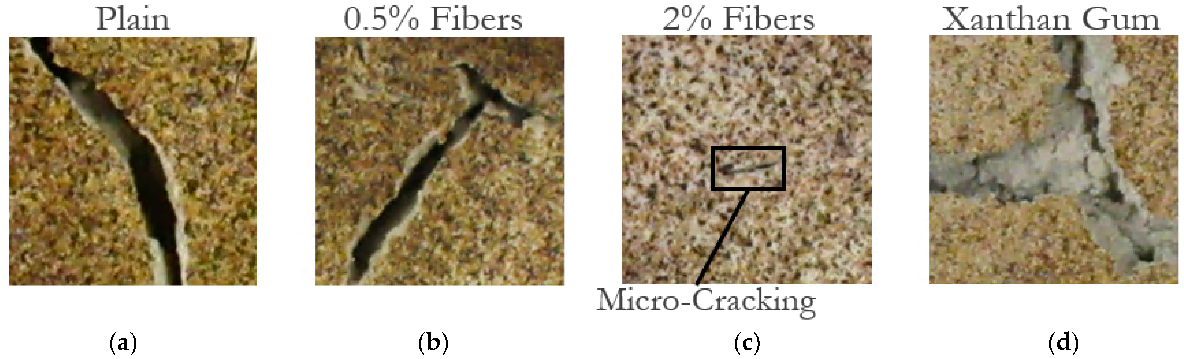 Polymers 14 01318 g005 550