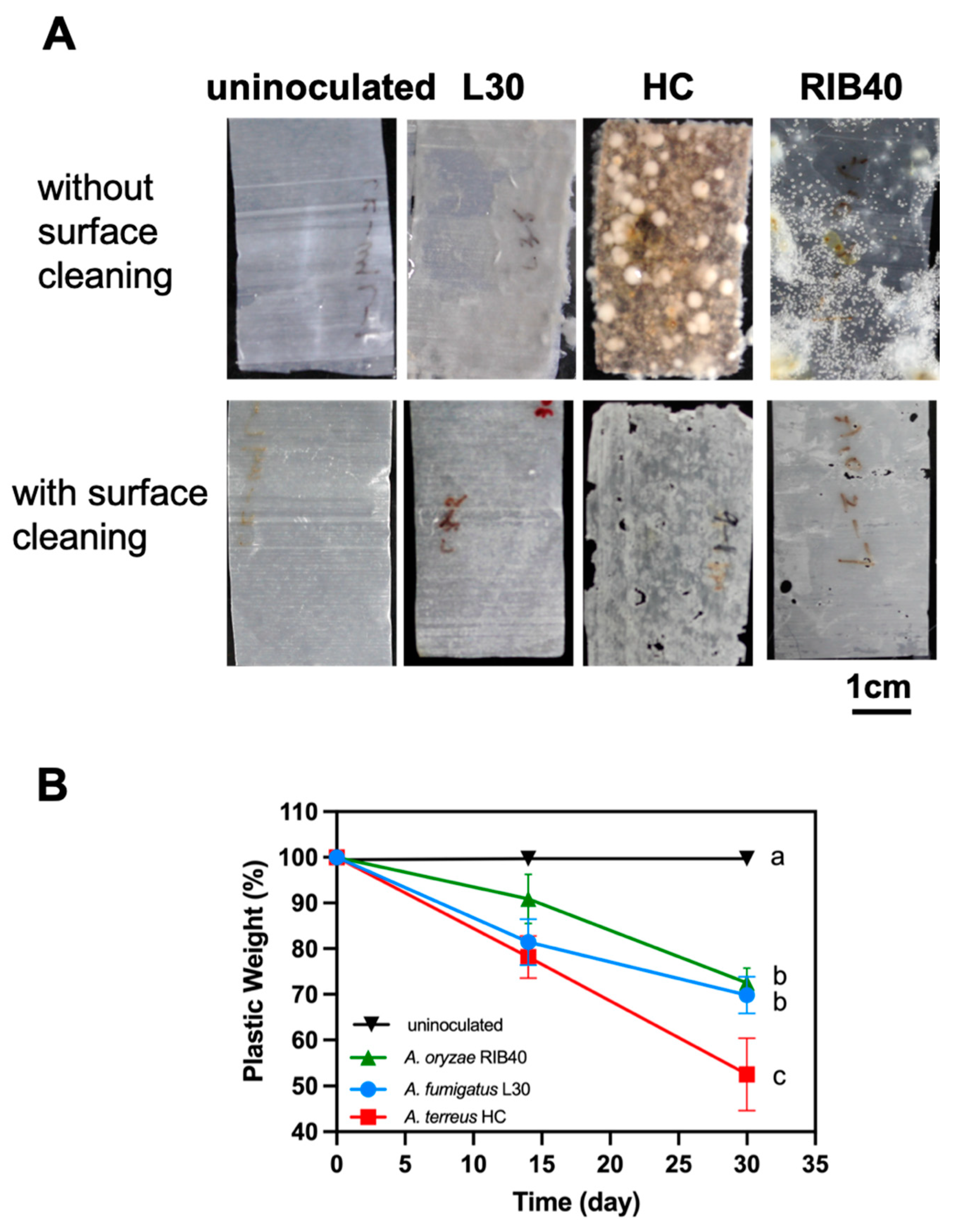 Polymers 14 01320 g002 550