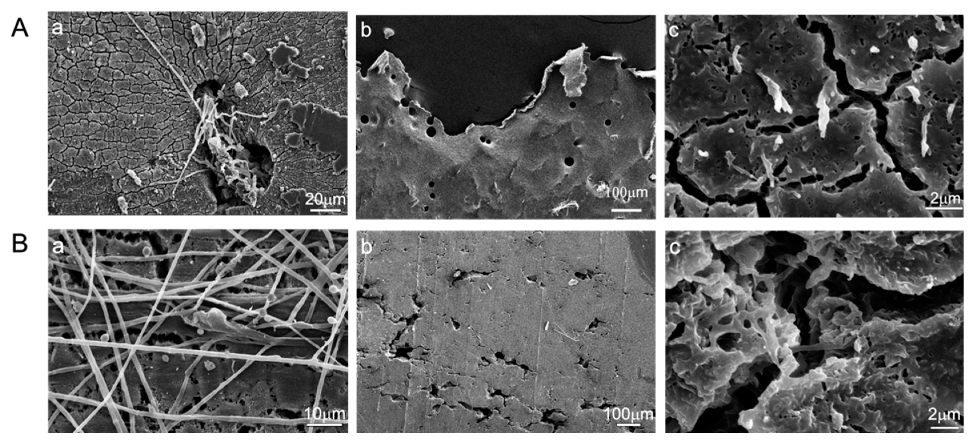 Polymers 14 01320 g004 550