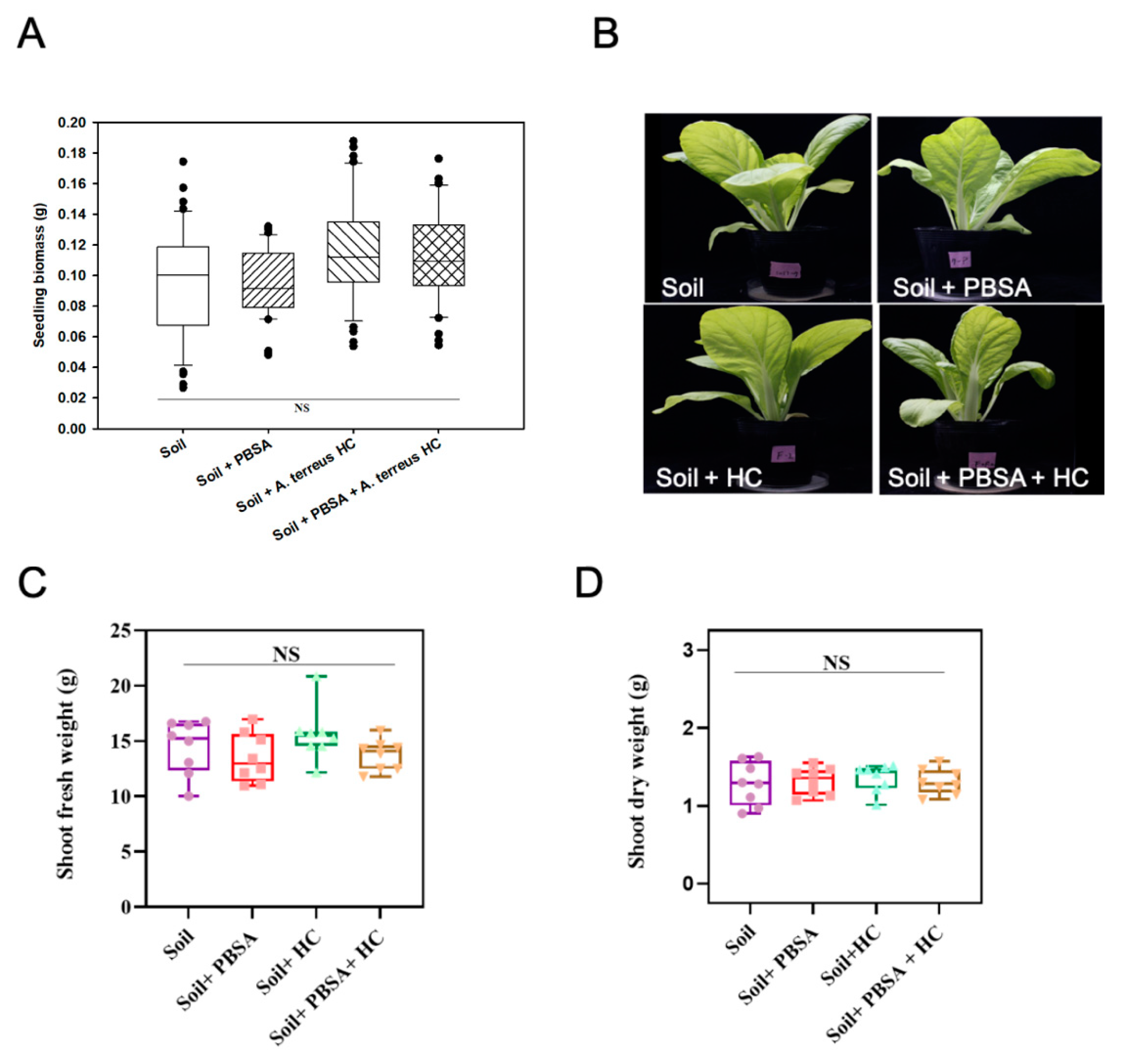 Polymers 14 01320 g008 550