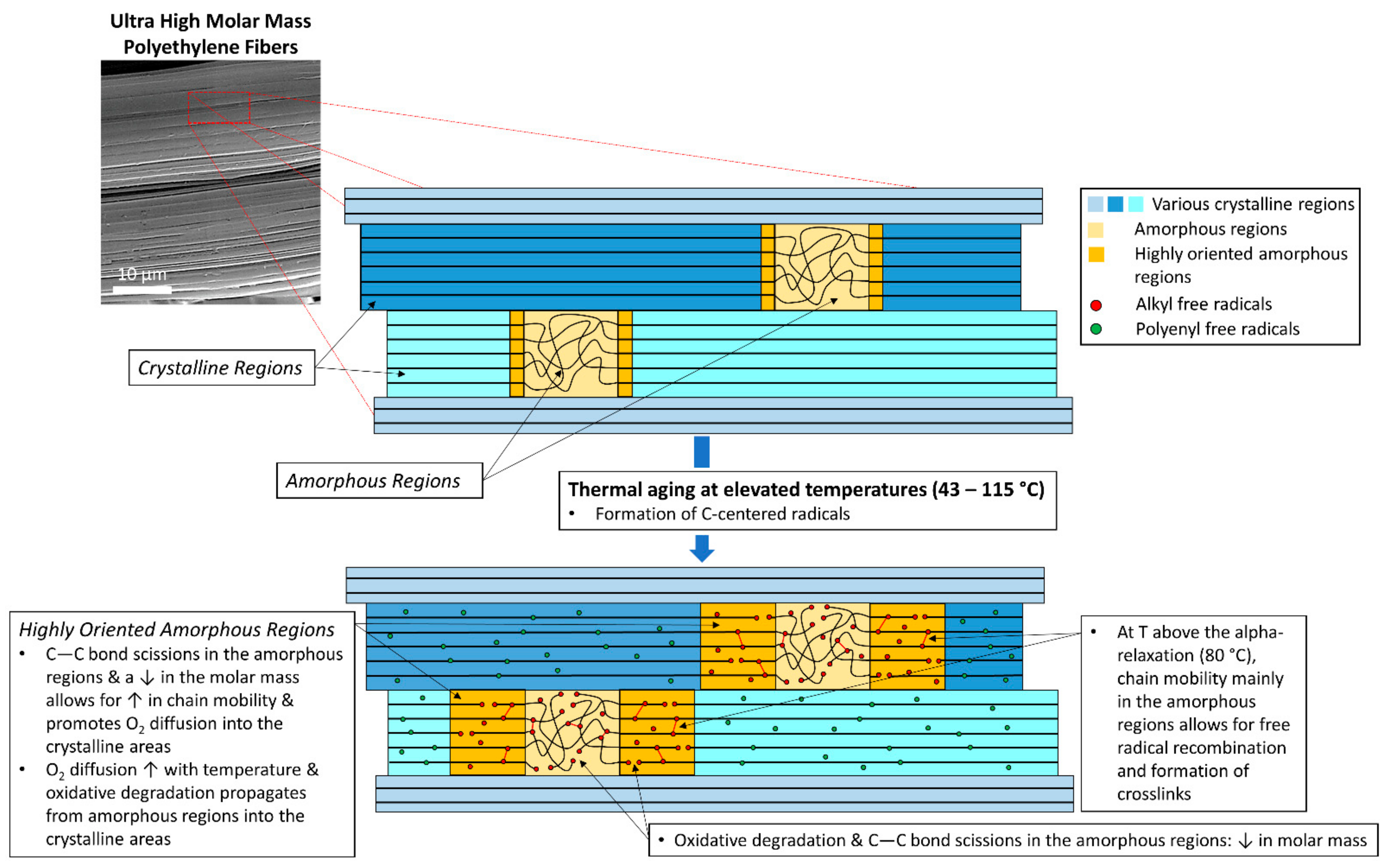 Polymers 14 01324 g003
