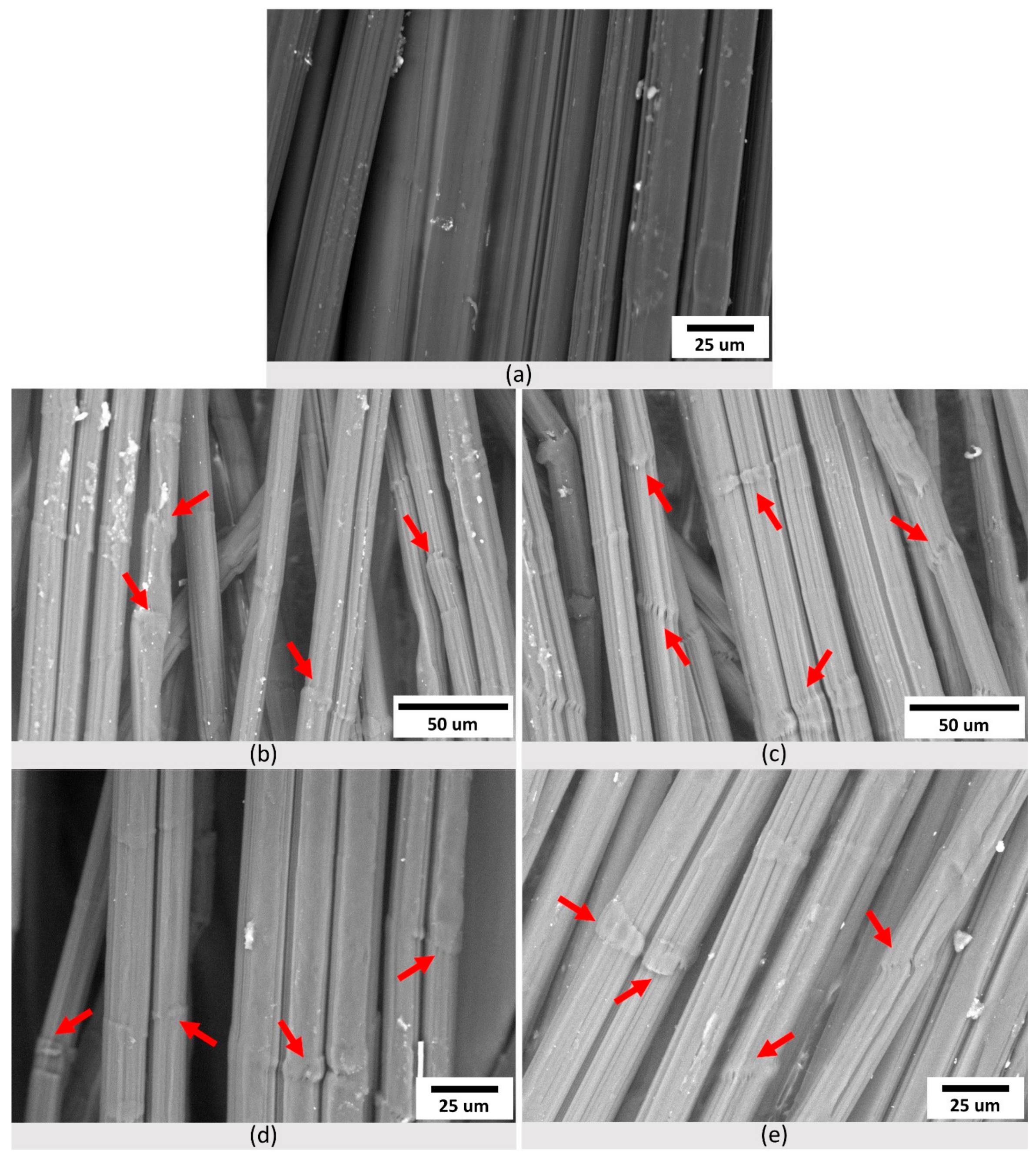 Polymers 14 01324 g004