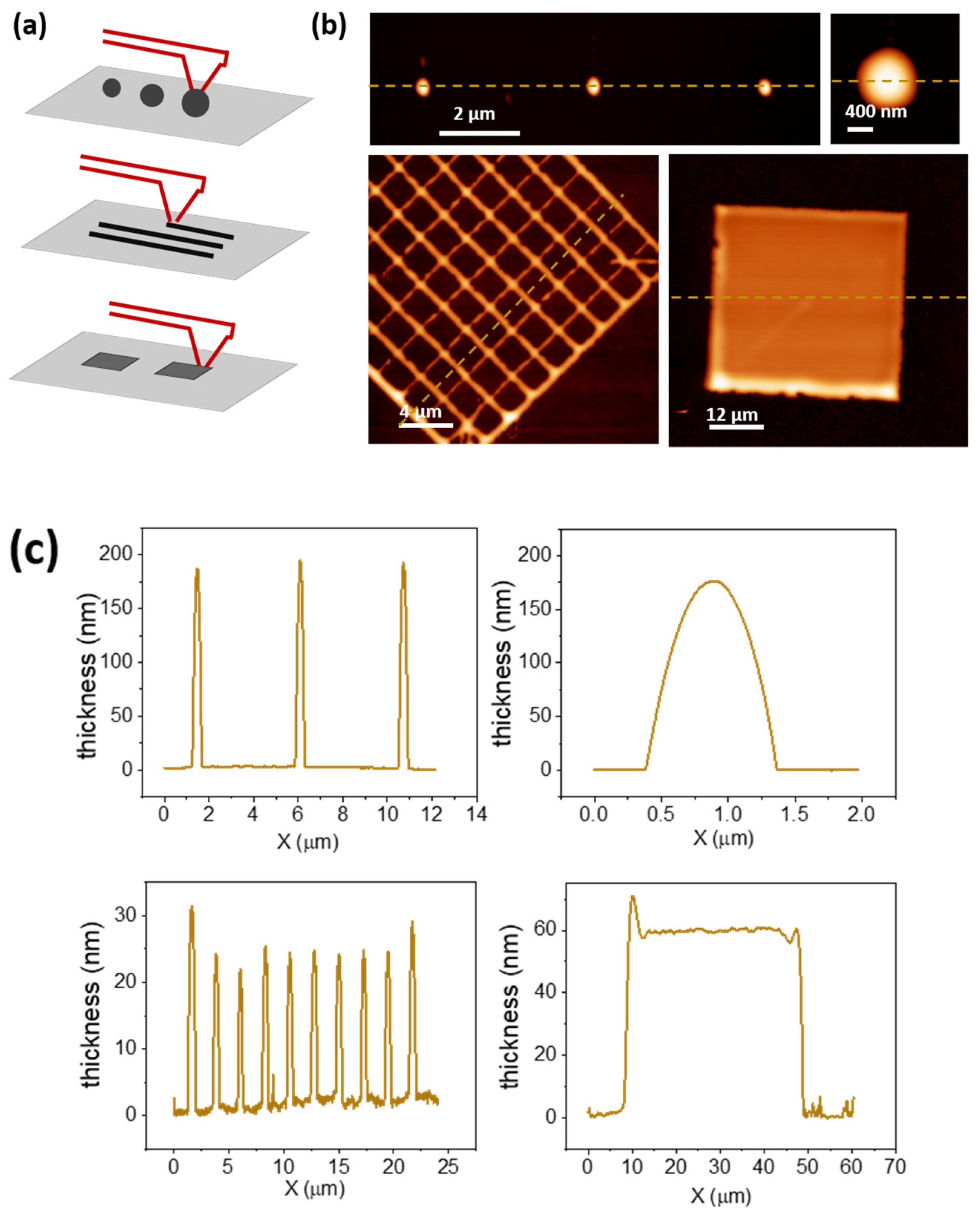 Polymers 14 01327 g002