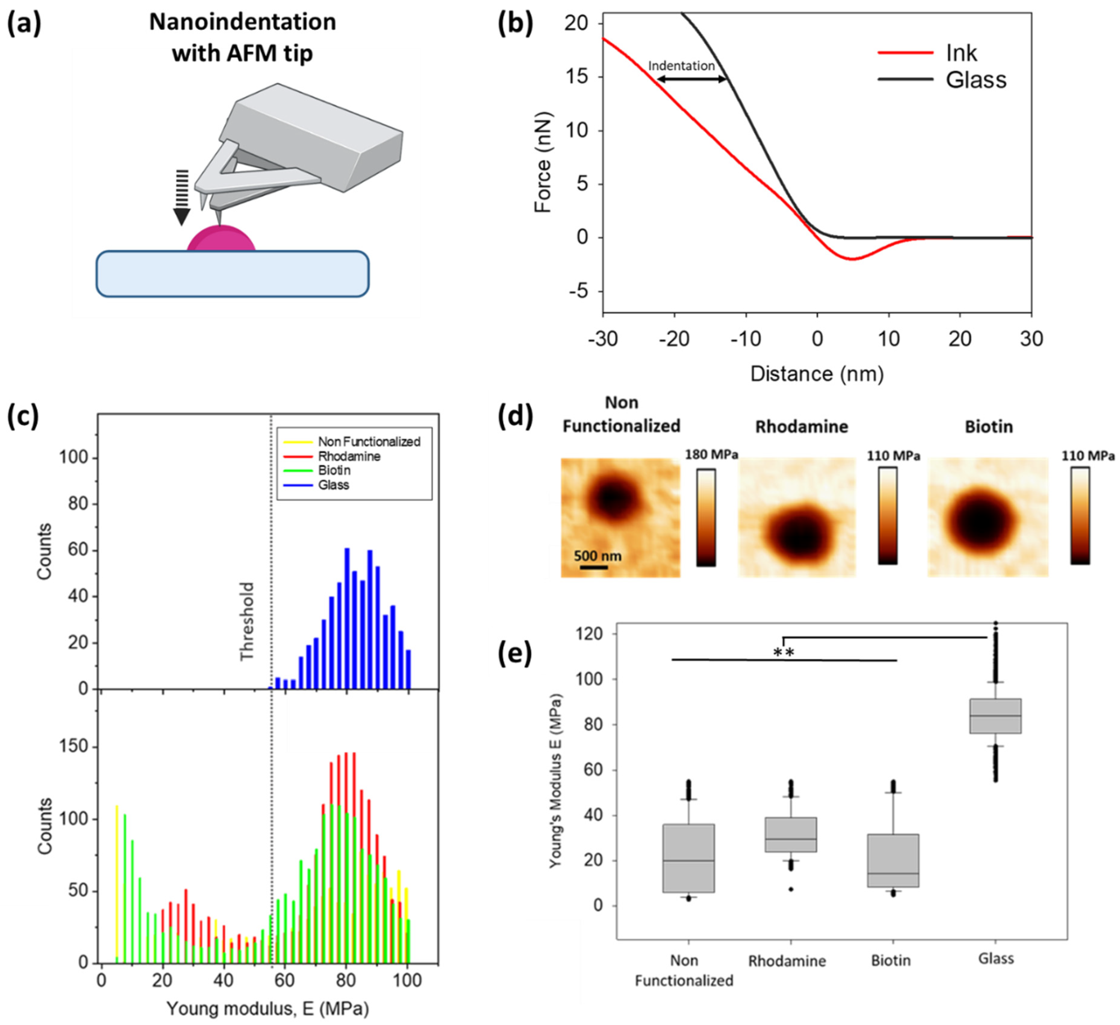 Polymers 14 01327 g004