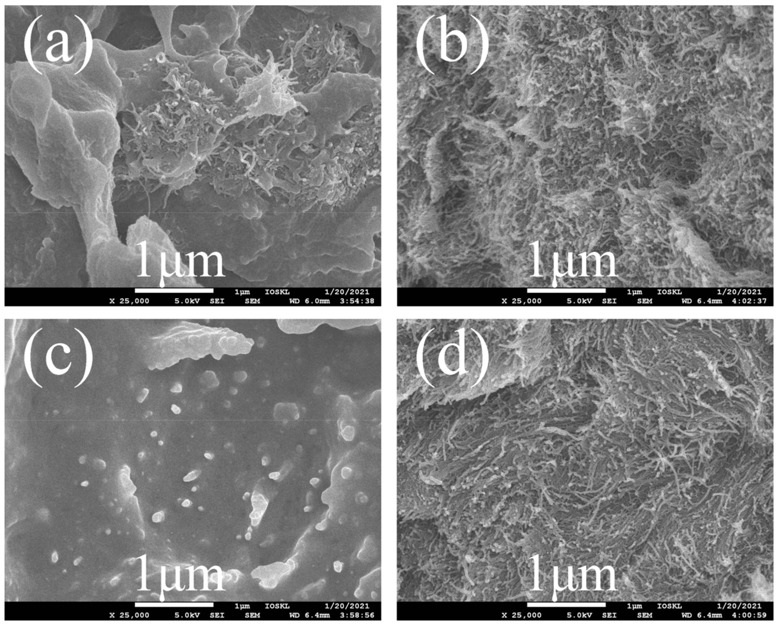 Polymers 14 01328 g007