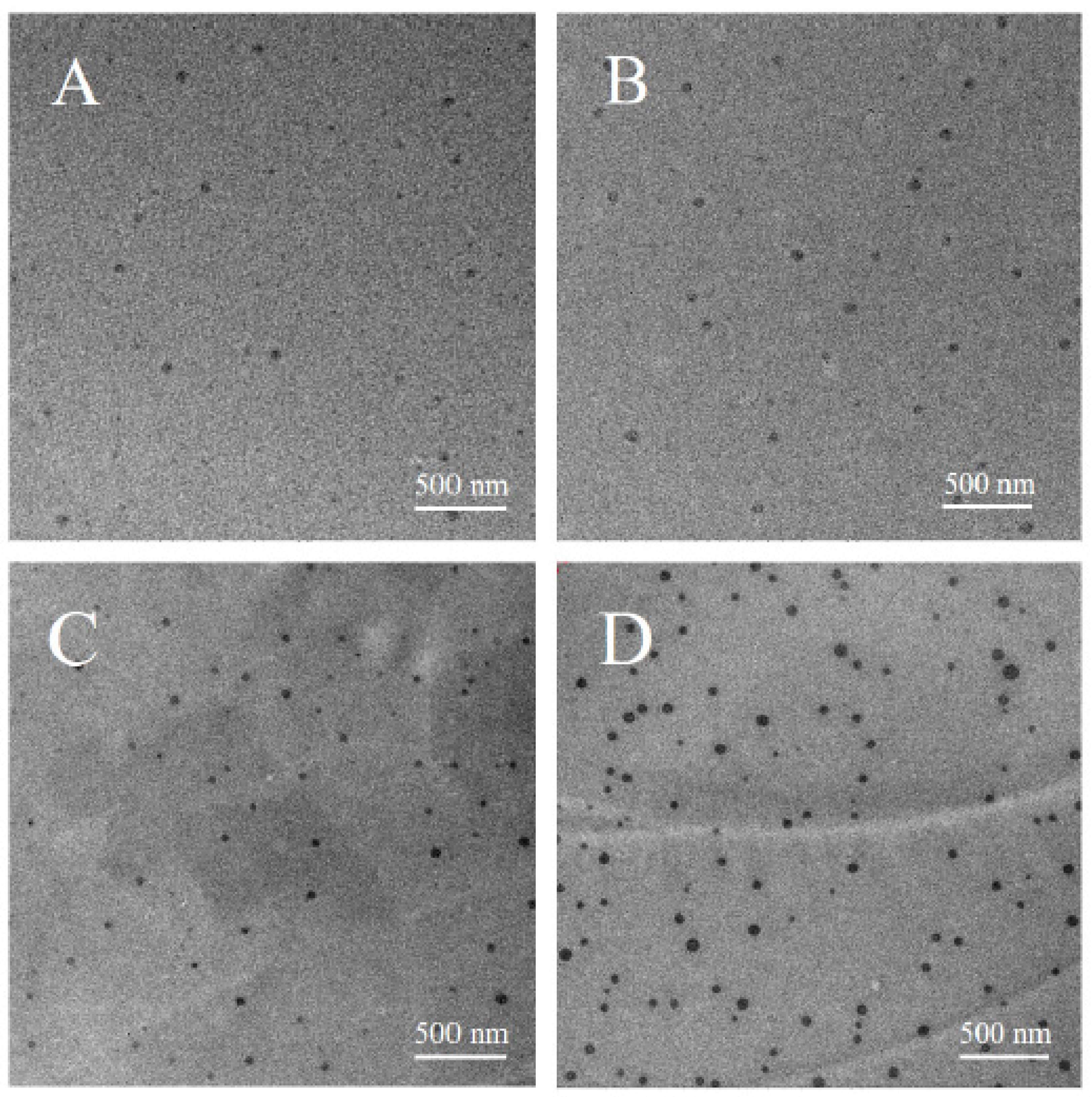 Polymers 14 01331 g005
