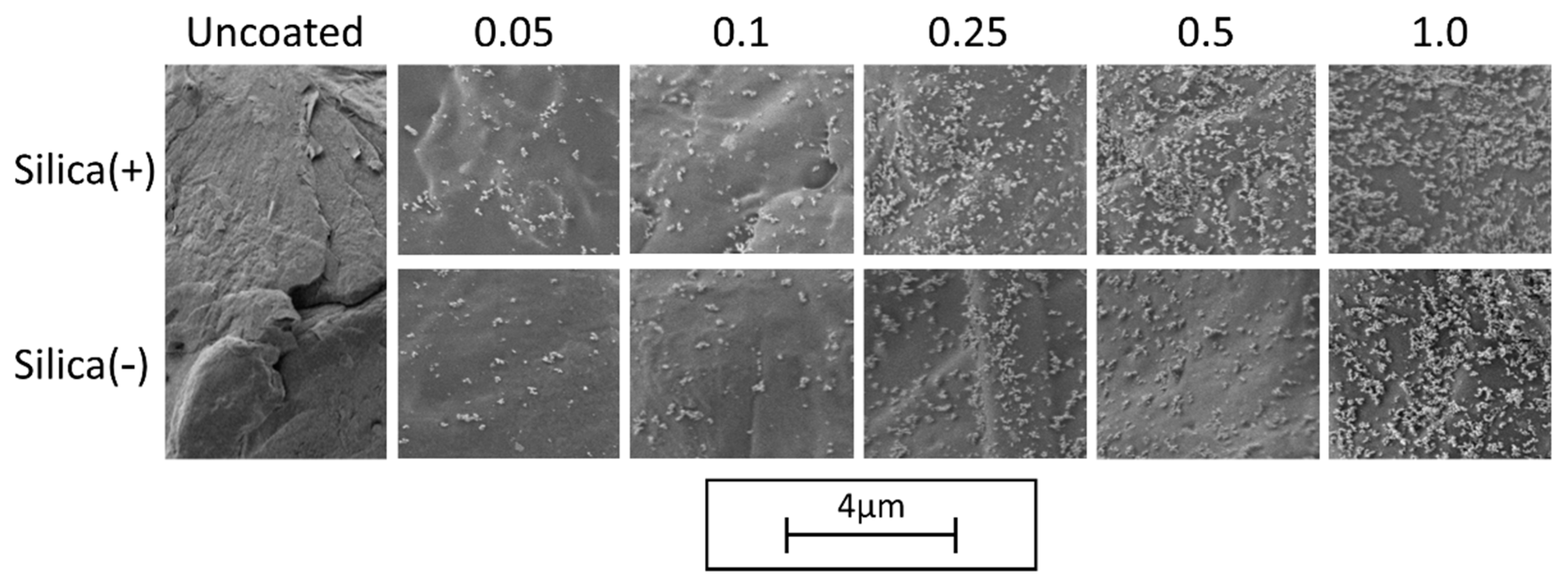 Polymers 14 01332 g003 Polymers 14 01332 g003