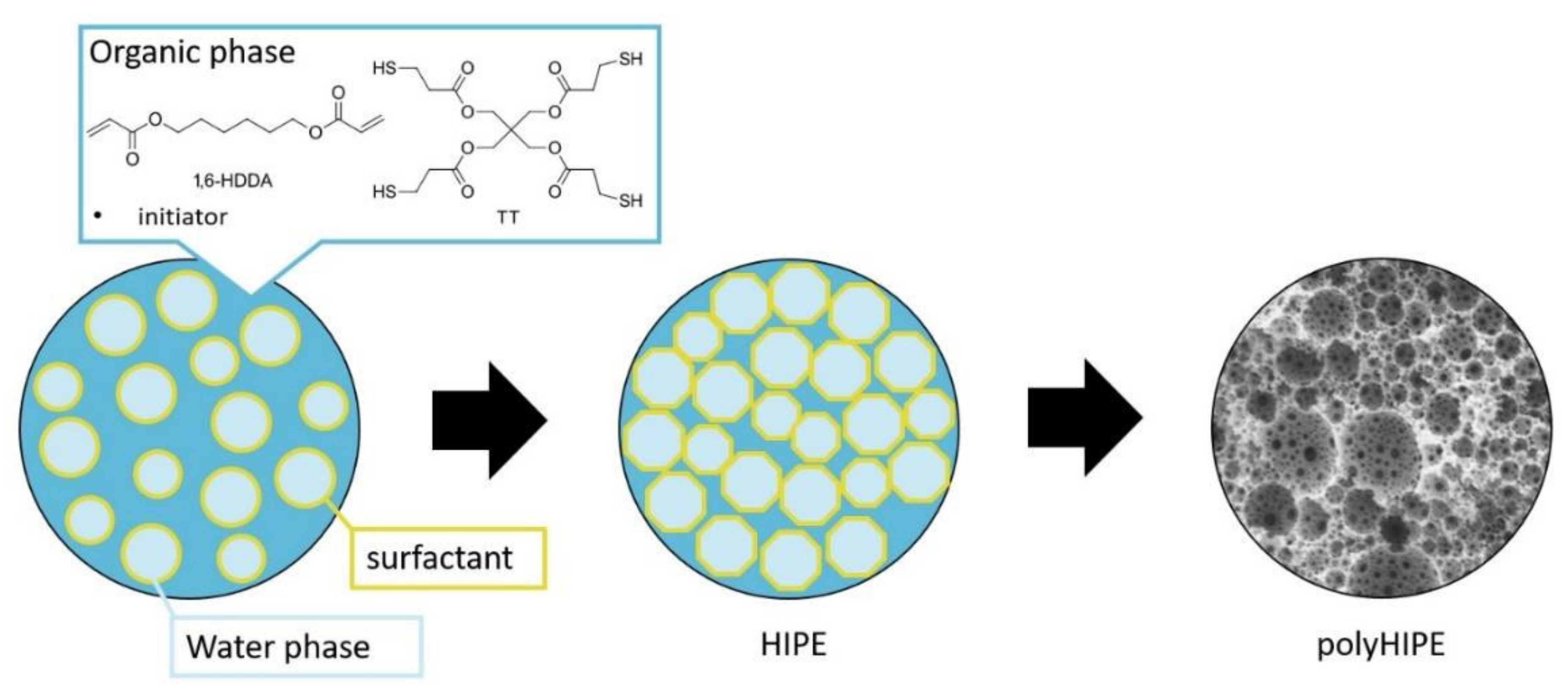 Polymers 14 01338 g001 550