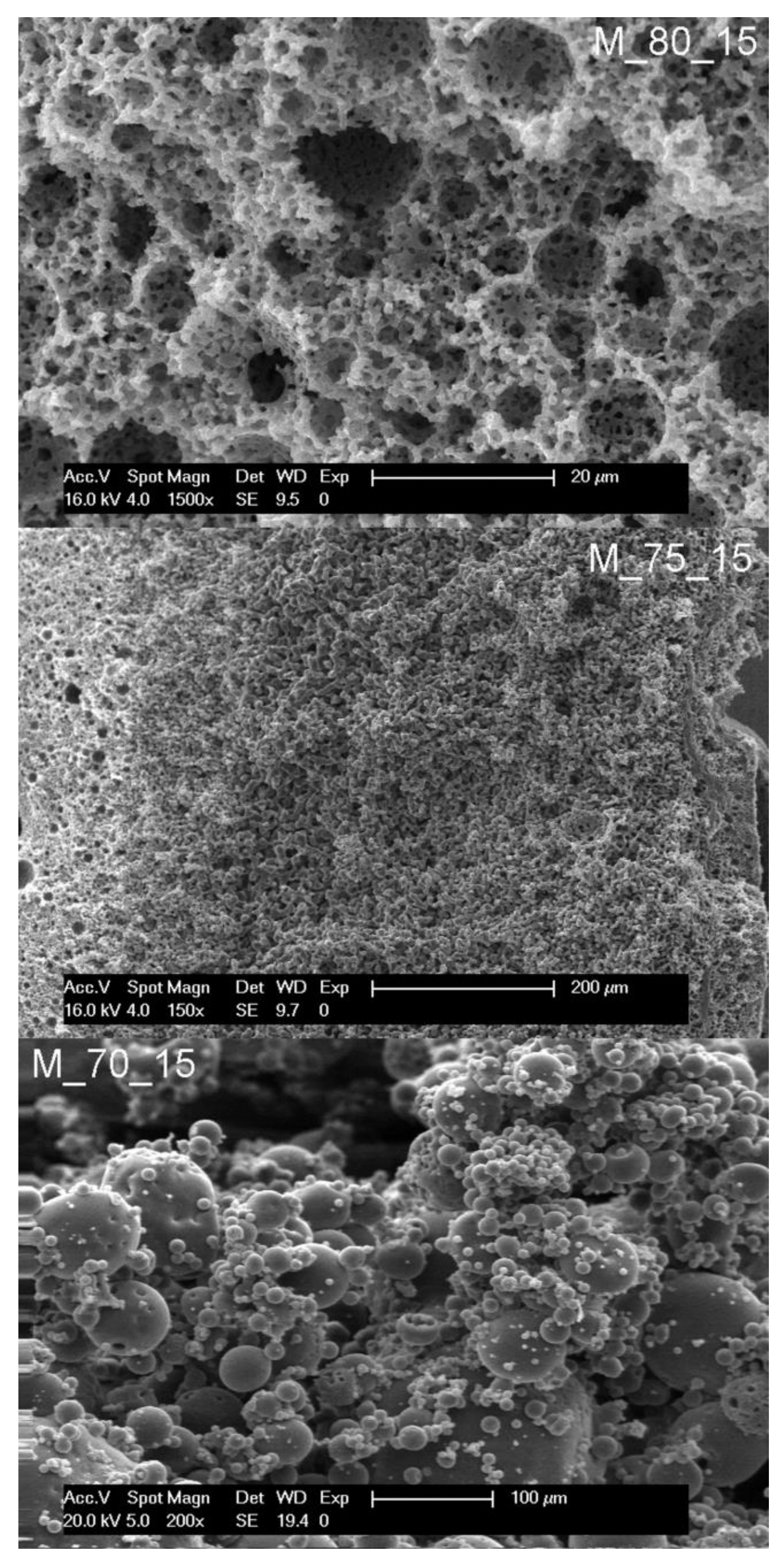 Polymers 14 01338 g005 550
