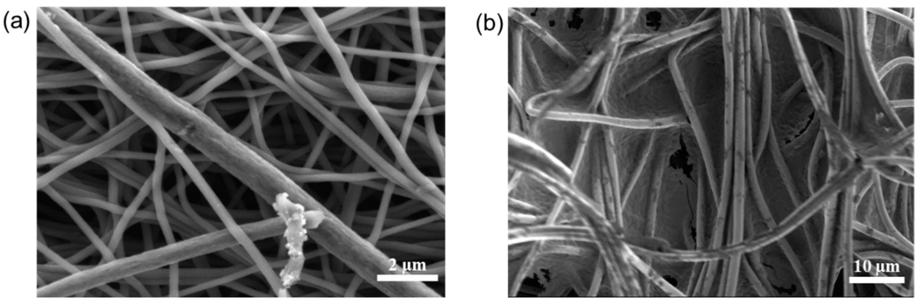 Polymers 14 01342 g009