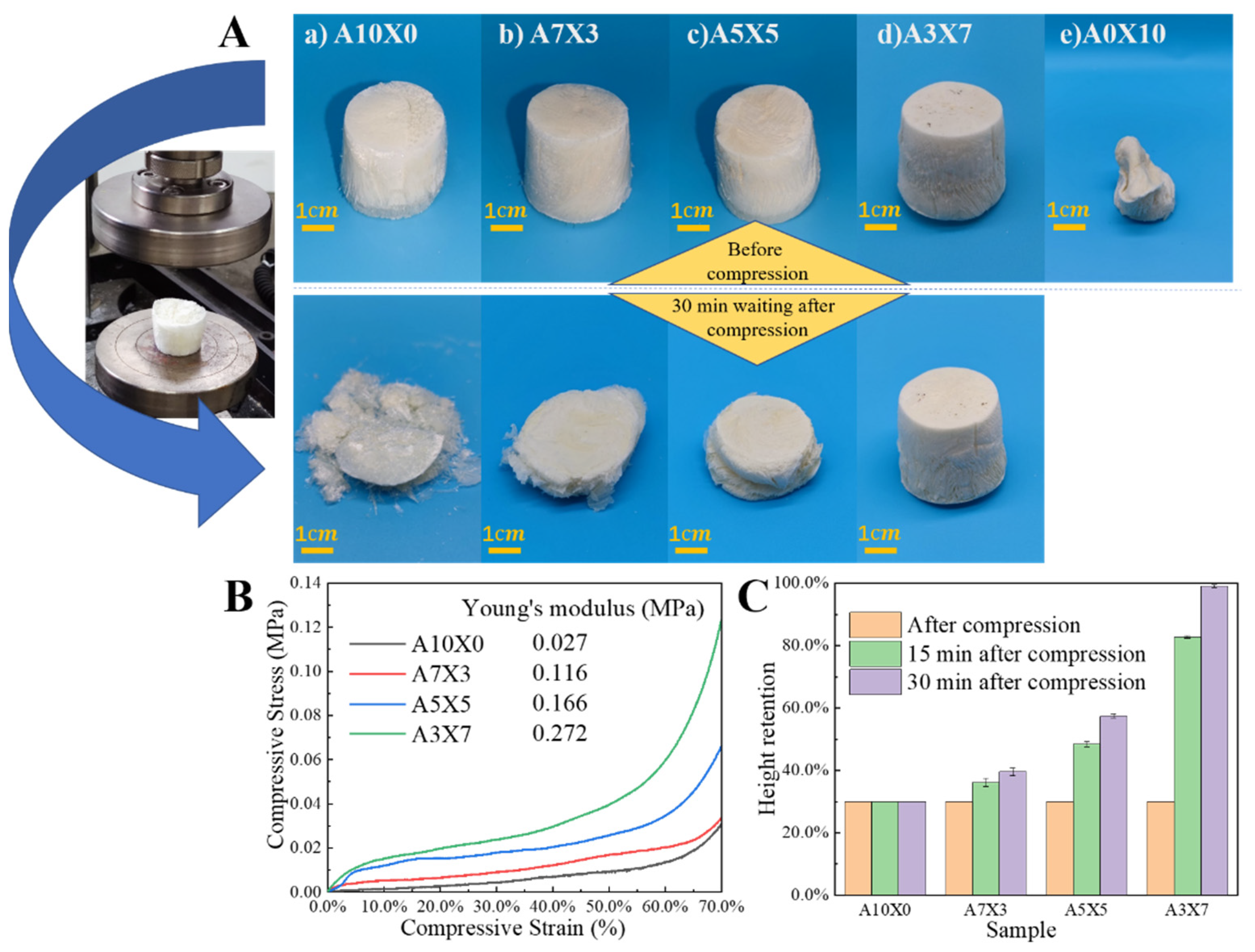 Polymers 14 01344 g003 550
