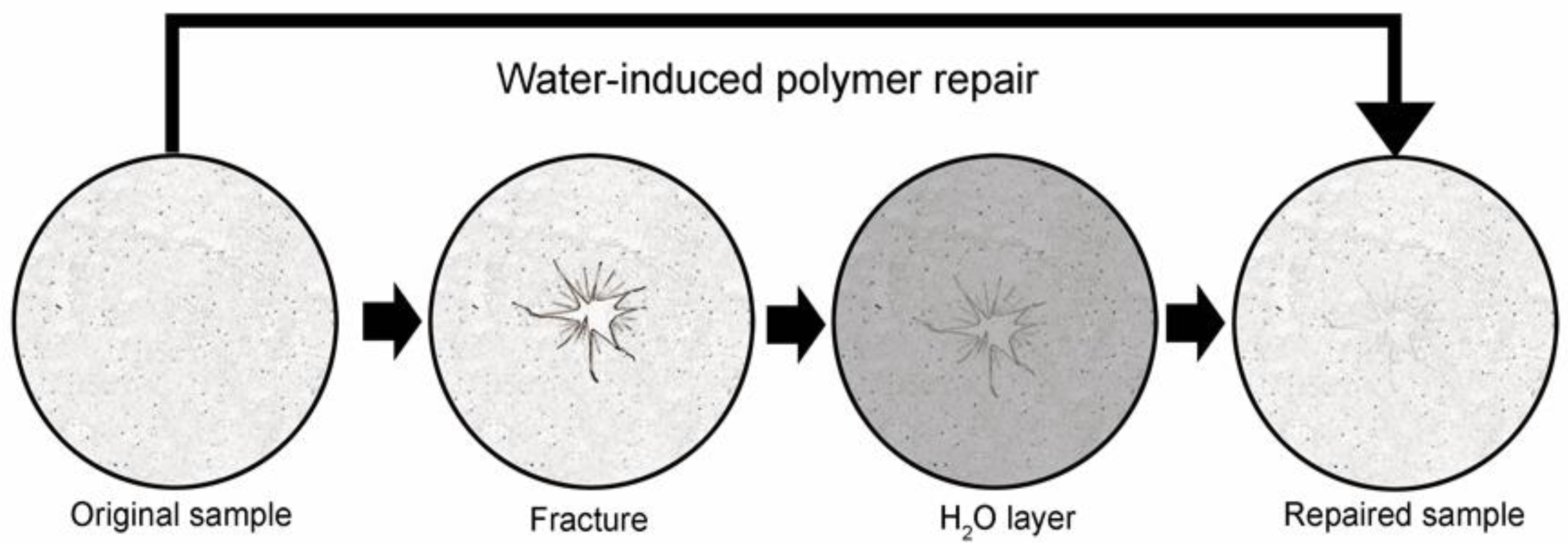 Polymers Free FullText Optical and Mechanical Properties of Self