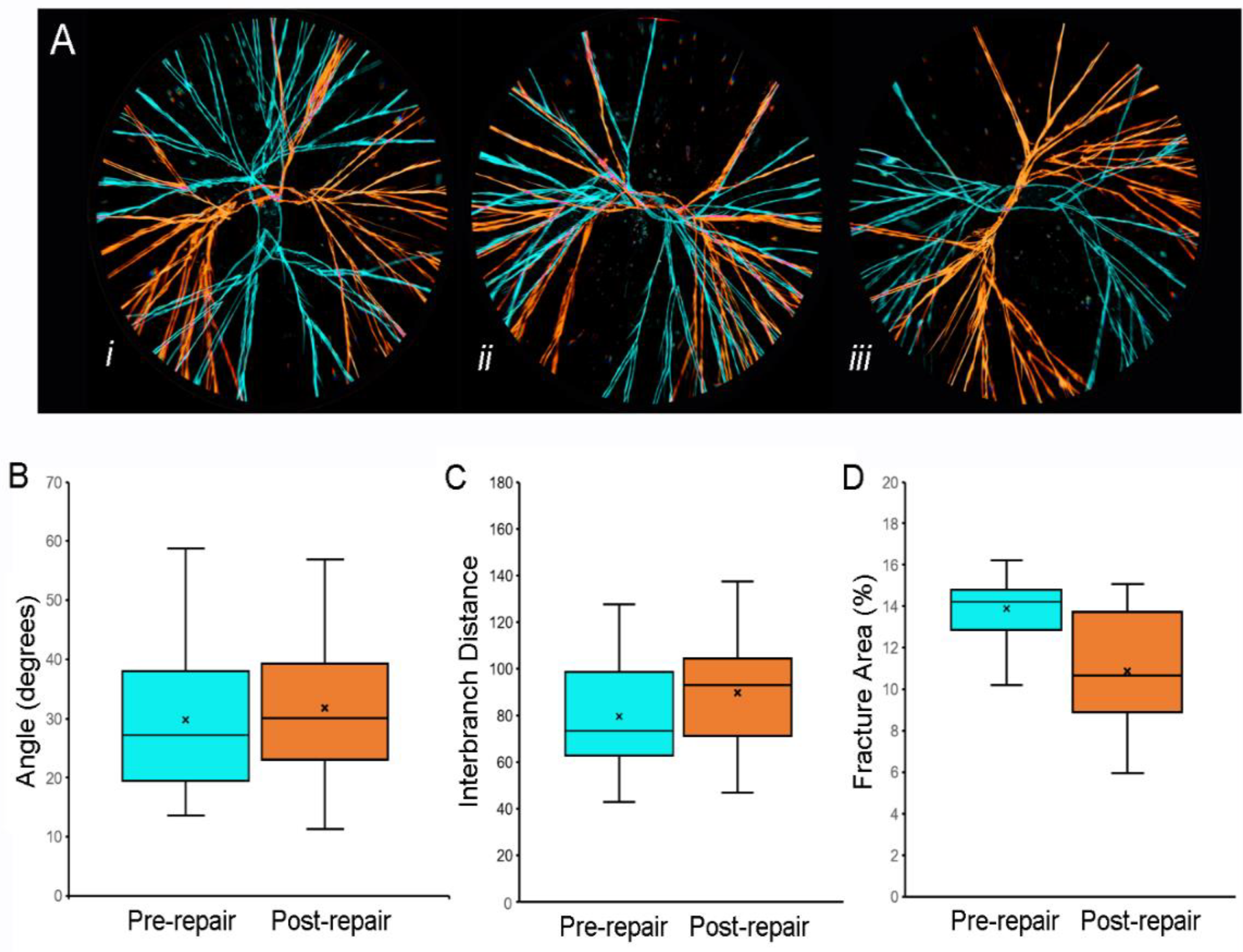 Polymers 14 01345 g006
