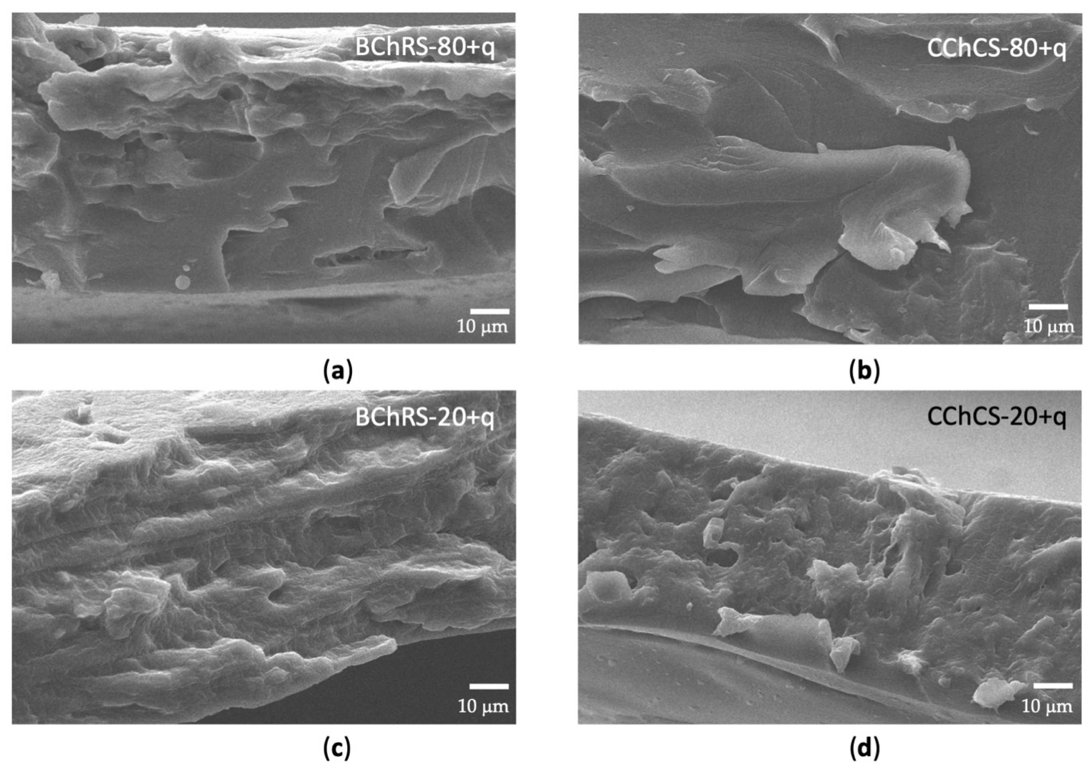 Polymers 14 01346 g005