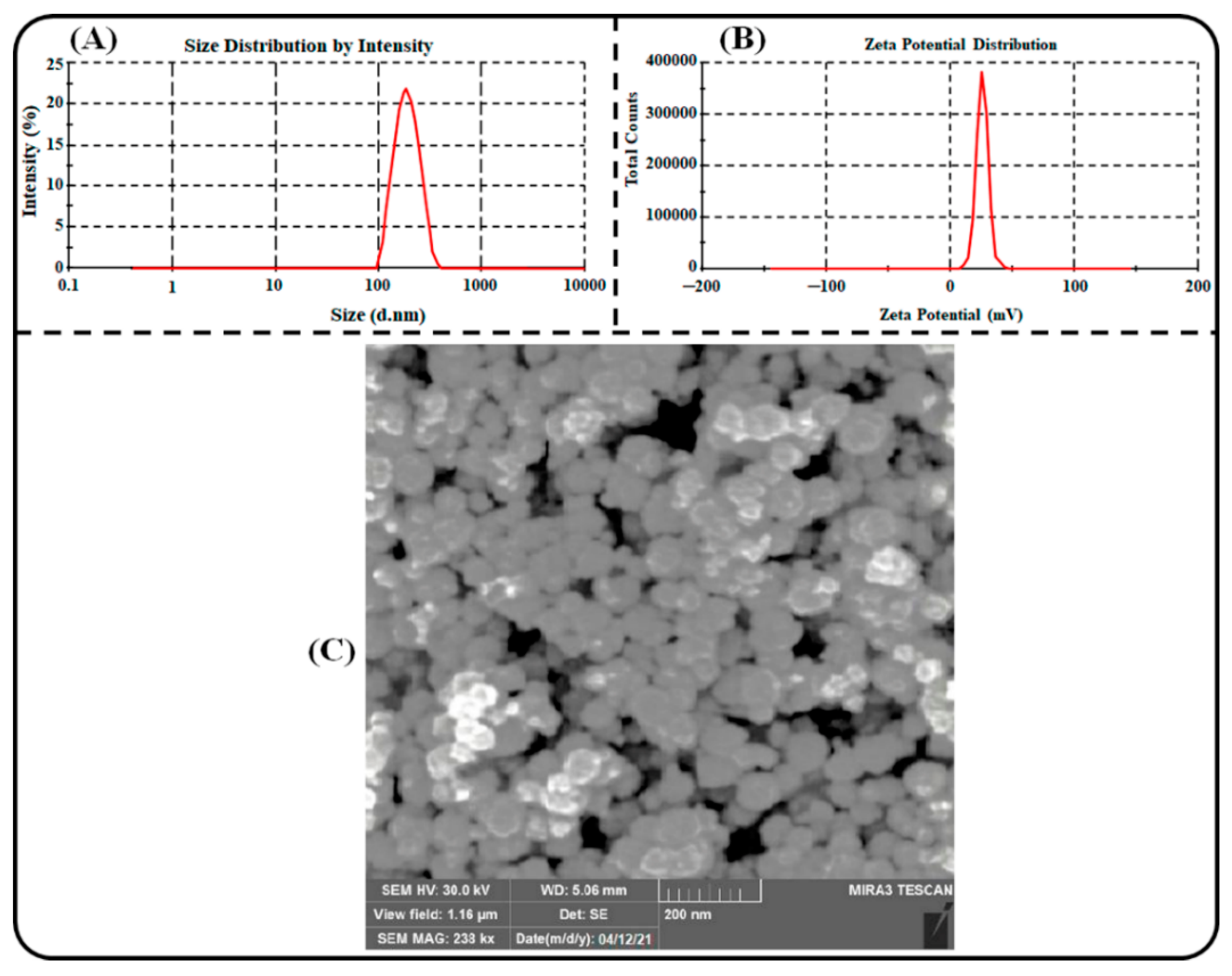 Polymers 14 01349 g005