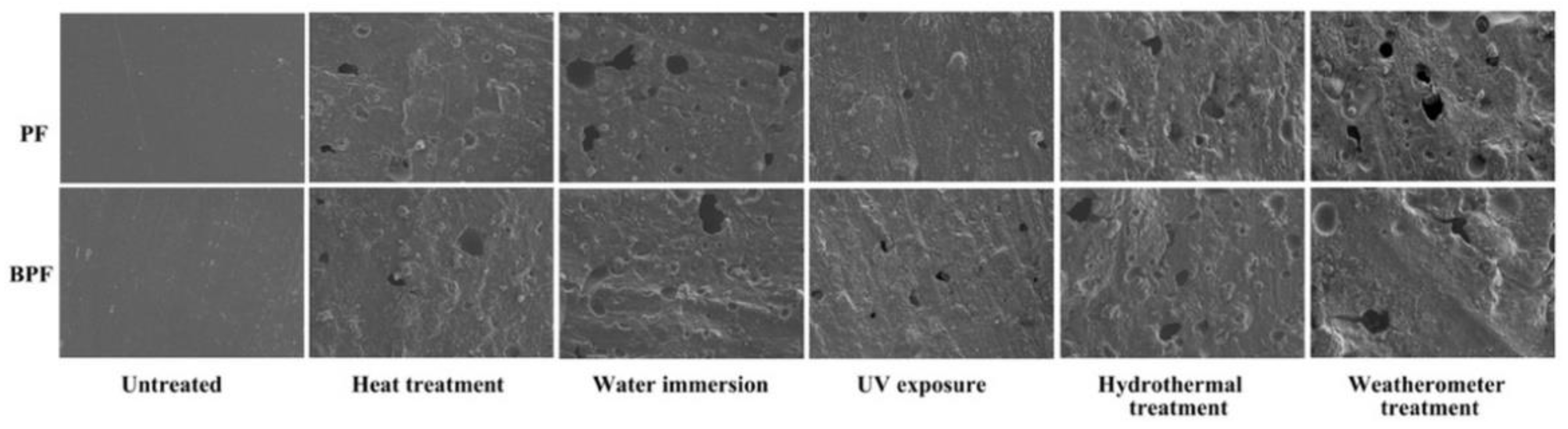 Polymers 14 01352 g003 550
