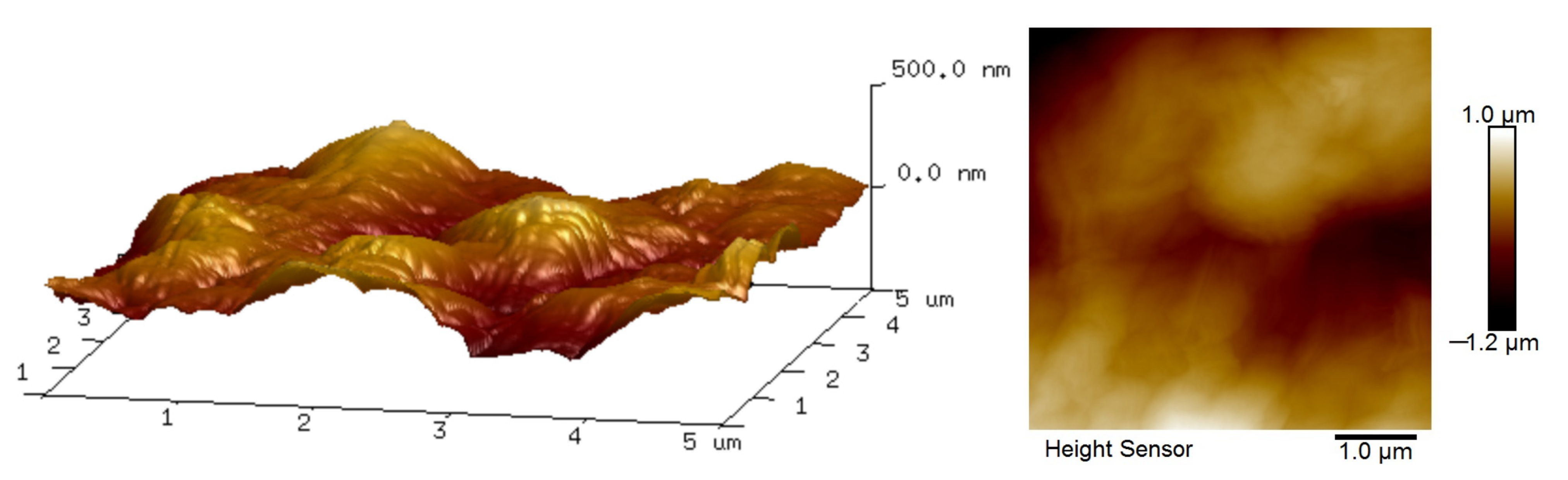 Polymers 14 01353 g005