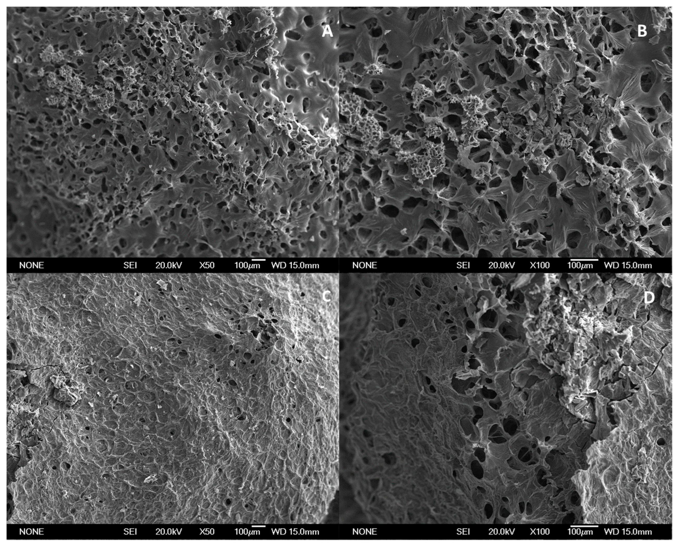 Polymers 14 01355 g006 550