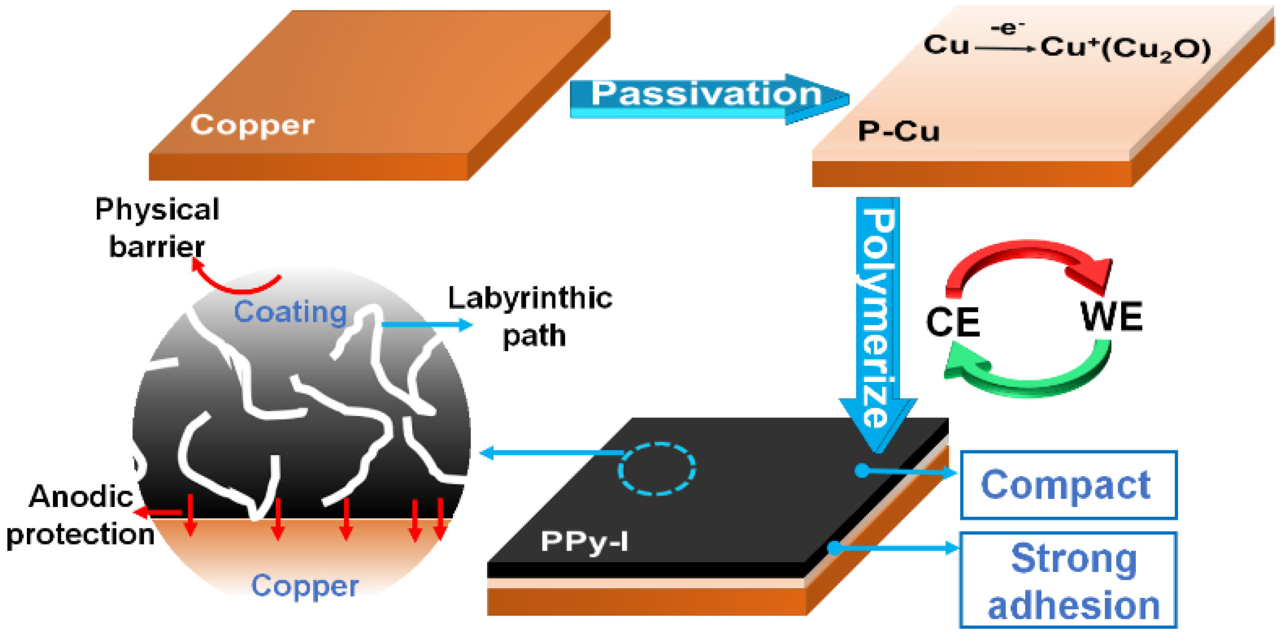 Optimized Anticorrosion of Polypyrrole Coating by Inverted-Electrode Strategy: Experimental and Molecular Dynamics Investigations Optimized Anticorrosion of Polypyrrole Coating by Inverted-Electrode Strategy: Experimental and Molecular Dynamics Investigations