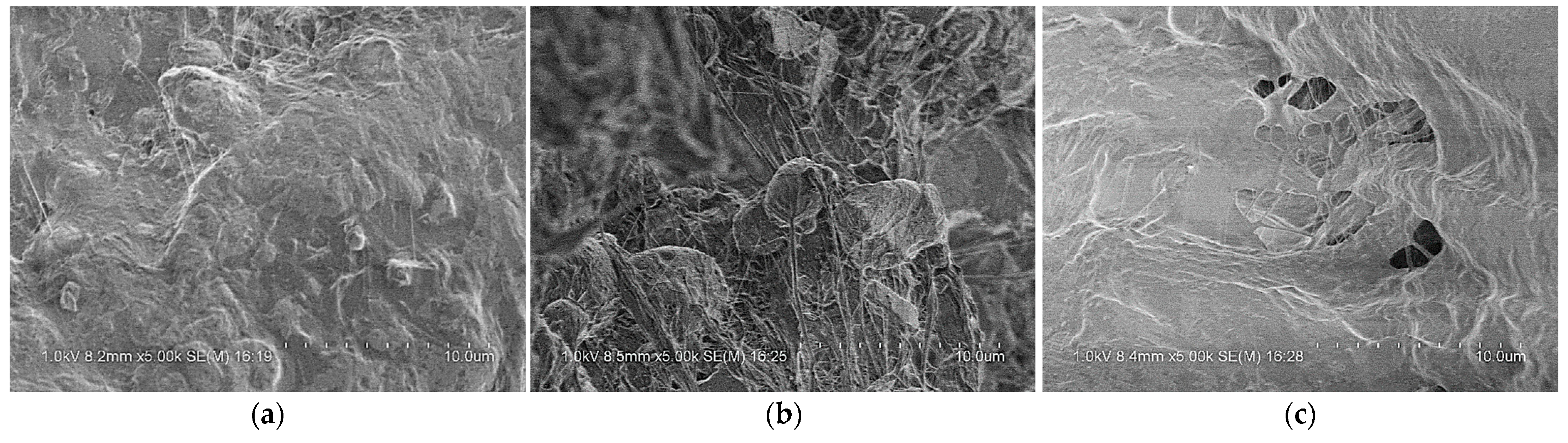 Polymers 14 01358 g011