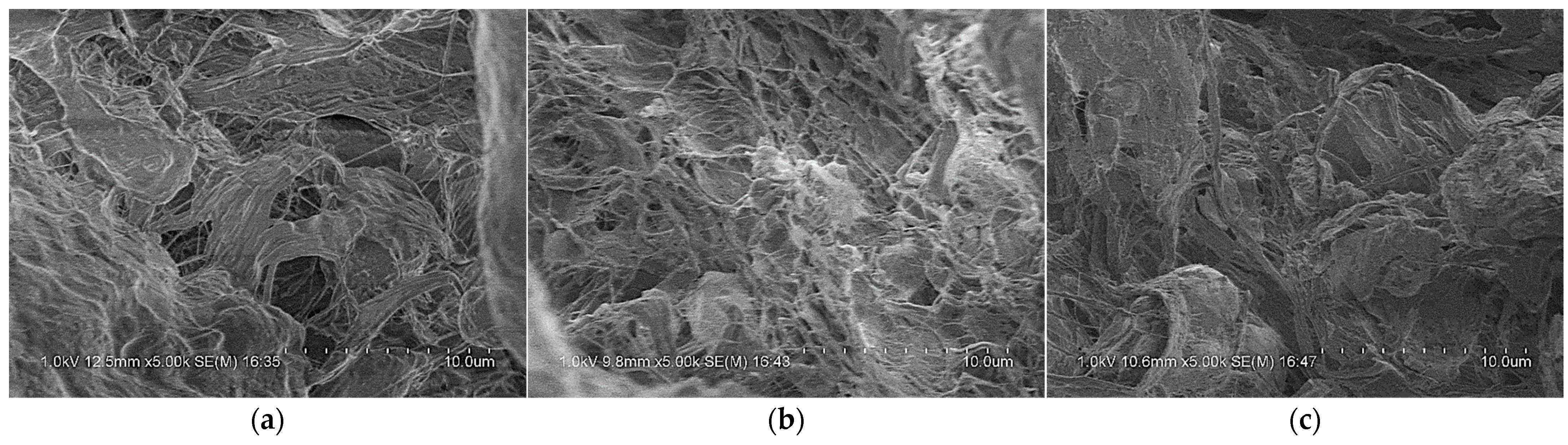 Polymers 14 01358 g015