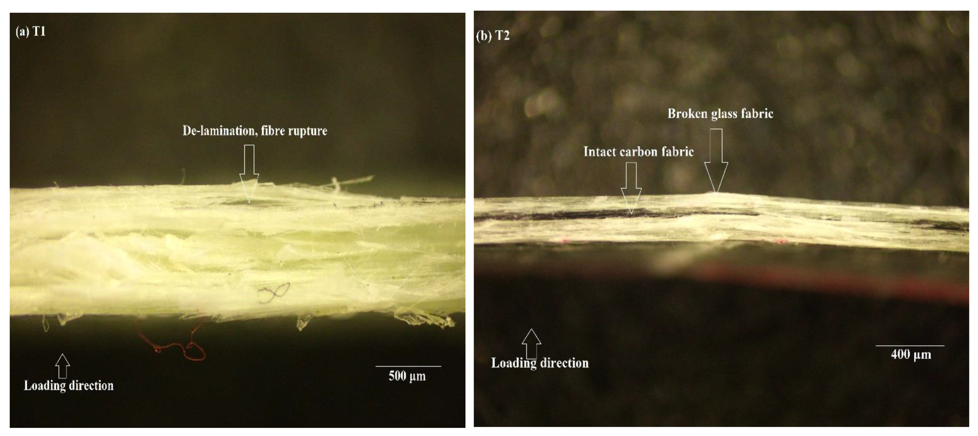 Polymers 14 01360 g006