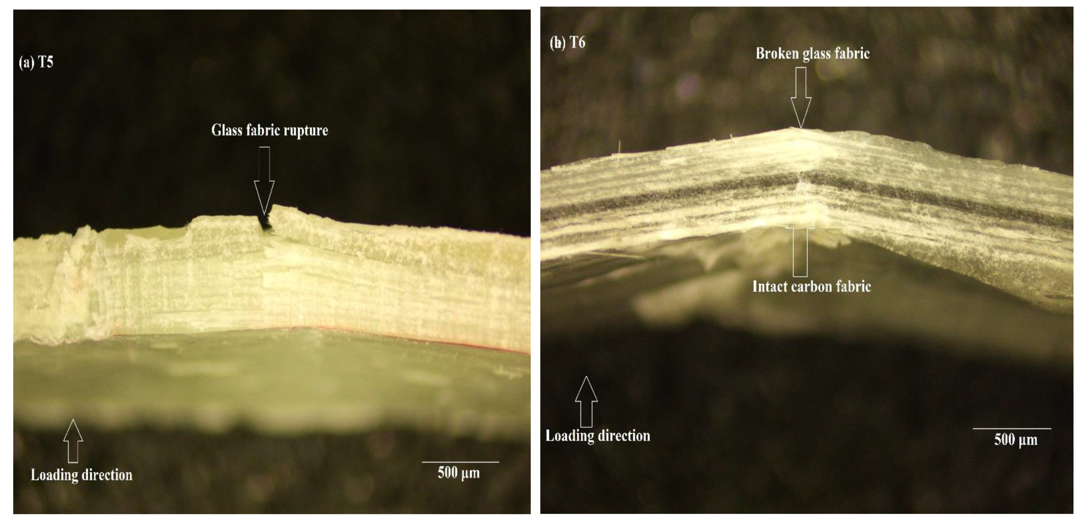 Polymers 14 01360 g007