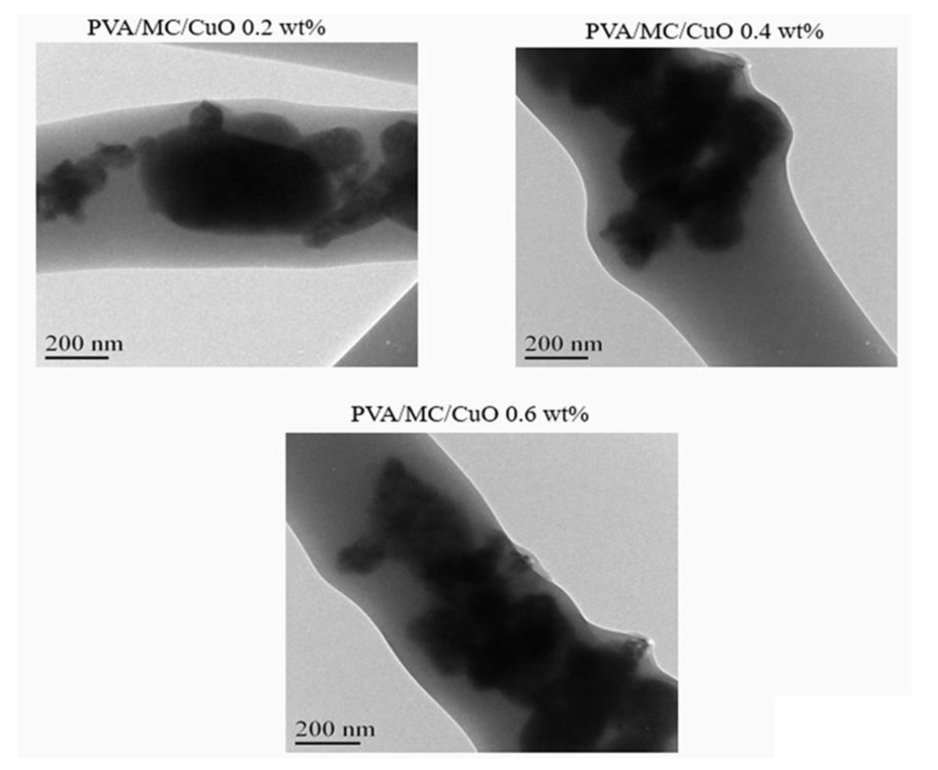Polymers 14 01361 g004 Polymers 14 01361 g004
